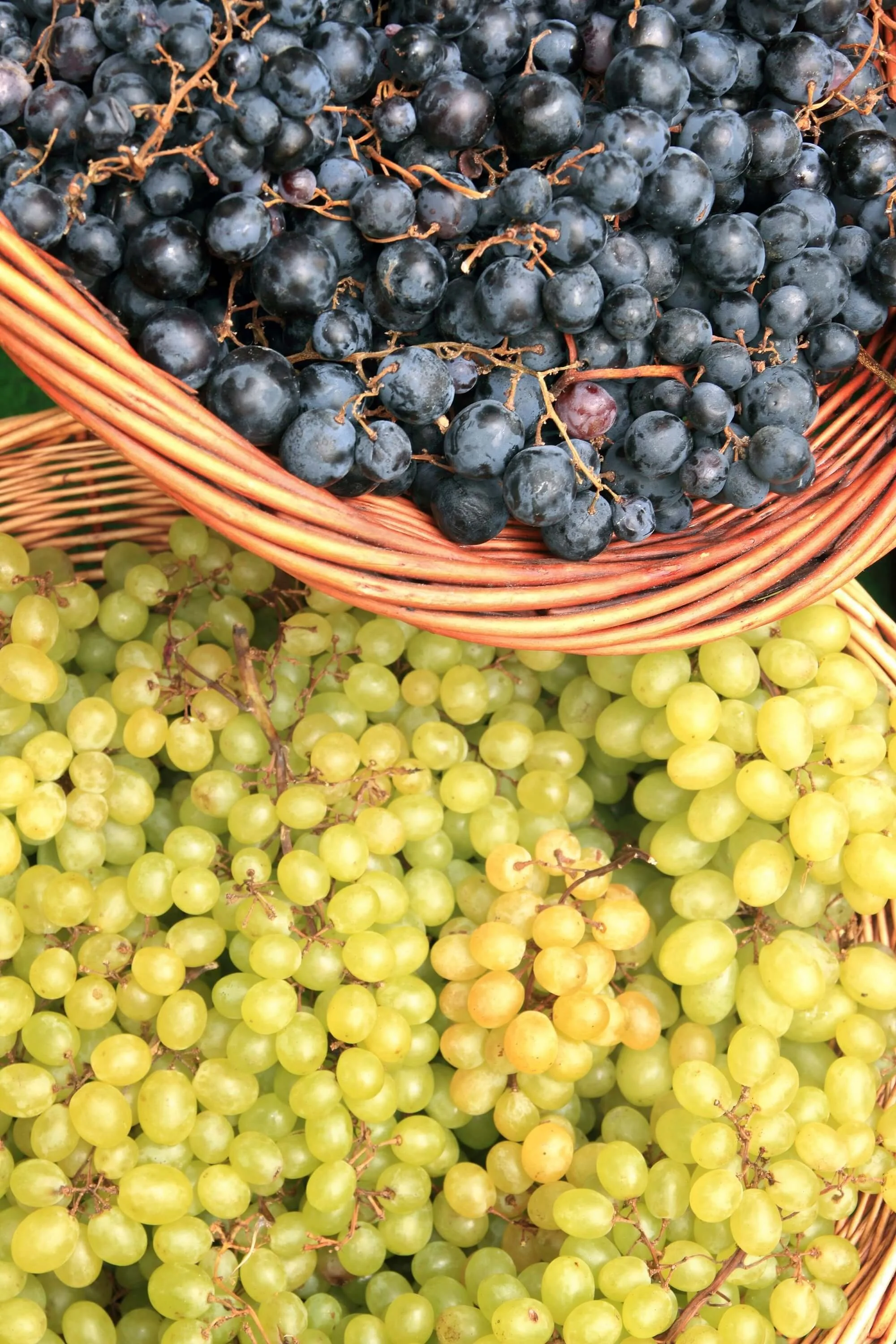 Clusters of black and green grapes in woven baskets.