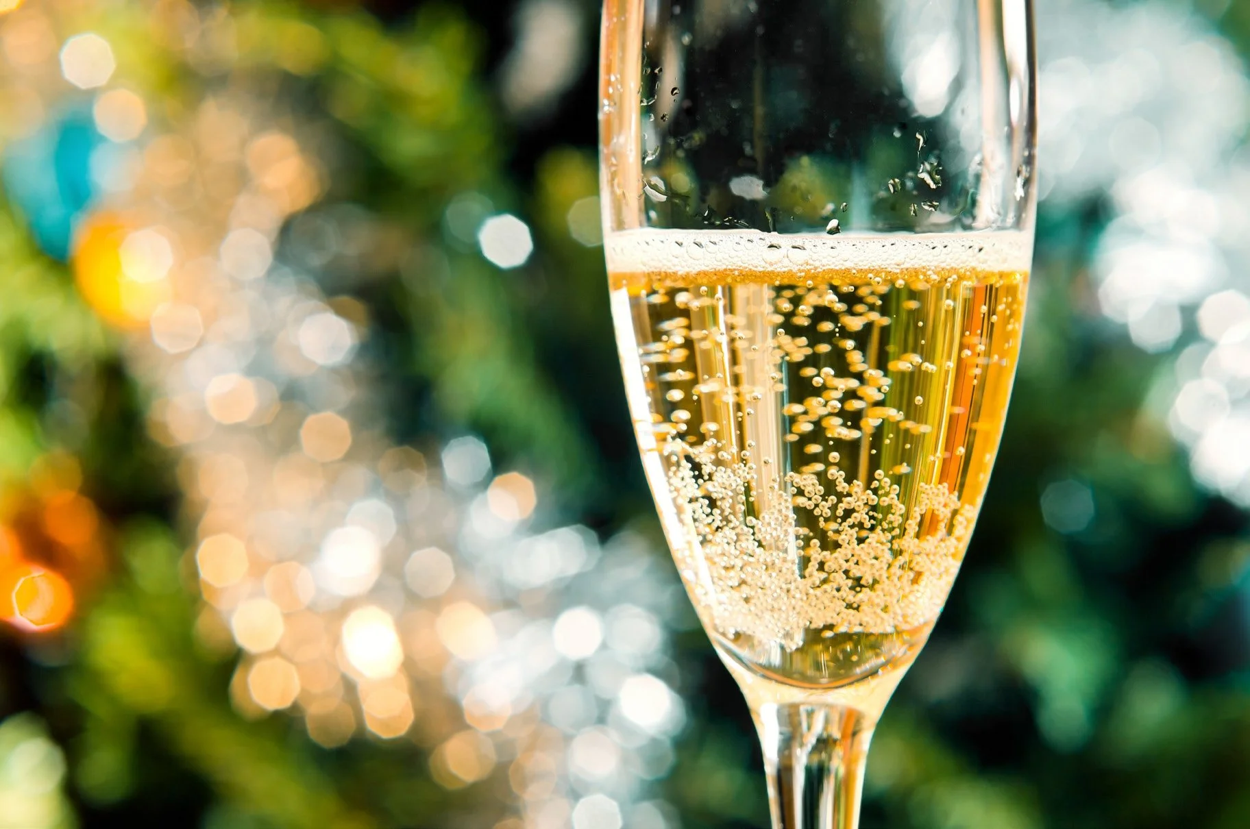Close-up of a champagne flute with bubbles, blurred festive lights in the background.