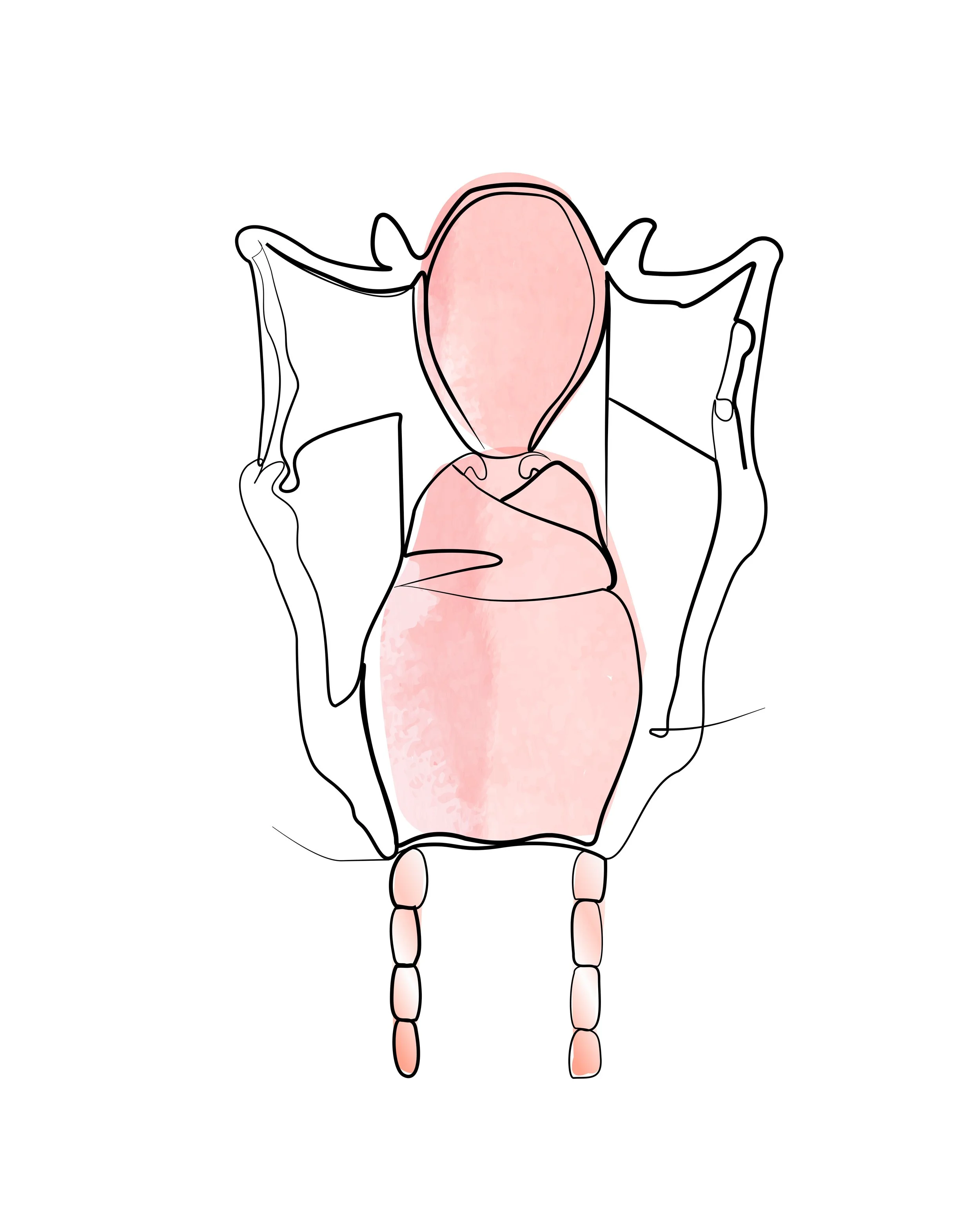 Larynx Ratio 4to5.jpg