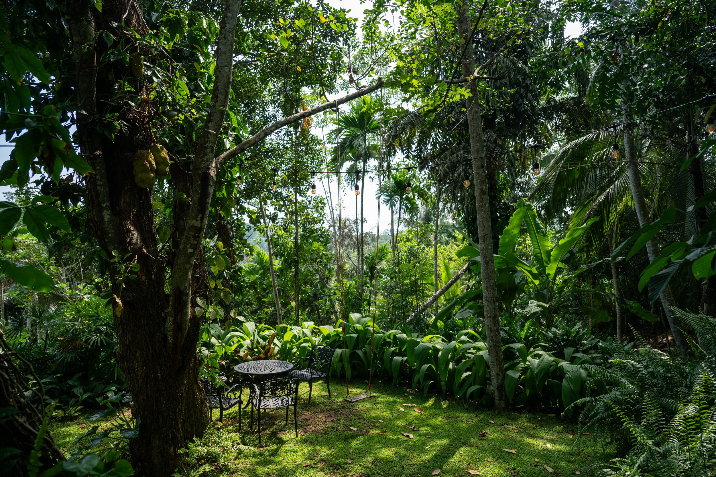 DSC_2648.jpg