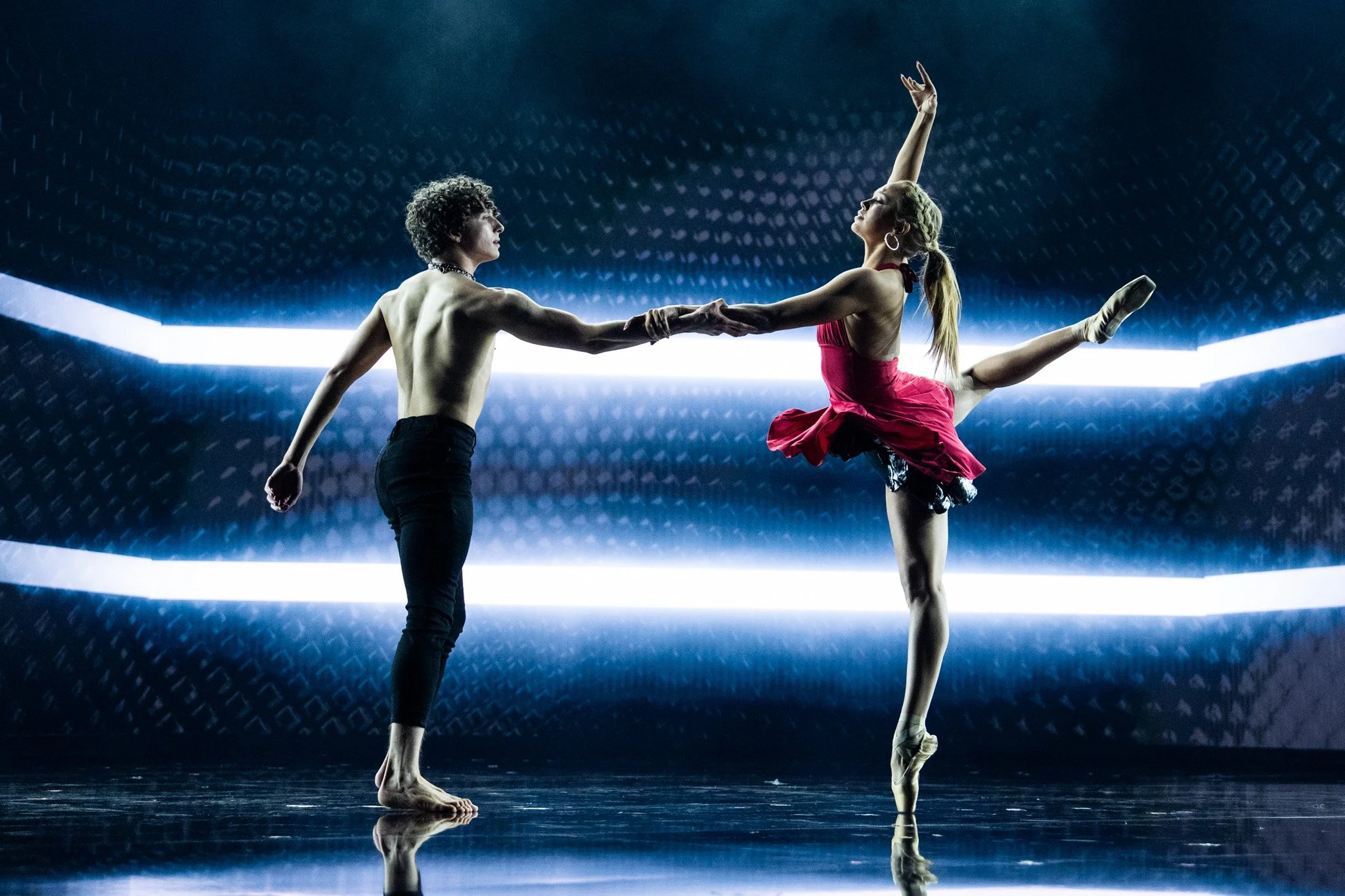  STAR Search for Netflix 