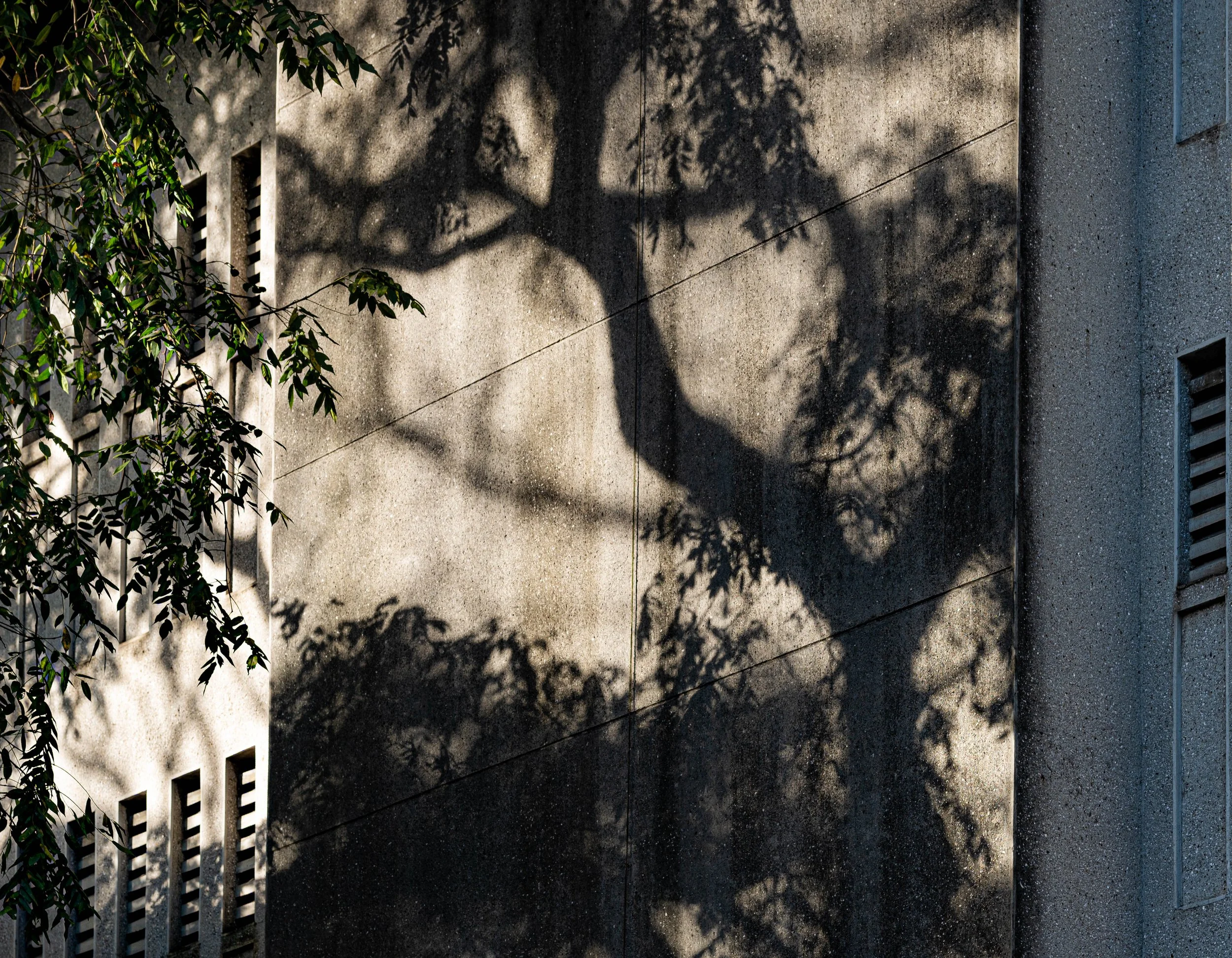 Brutalist Photowalk Dec 2025-4.jpg