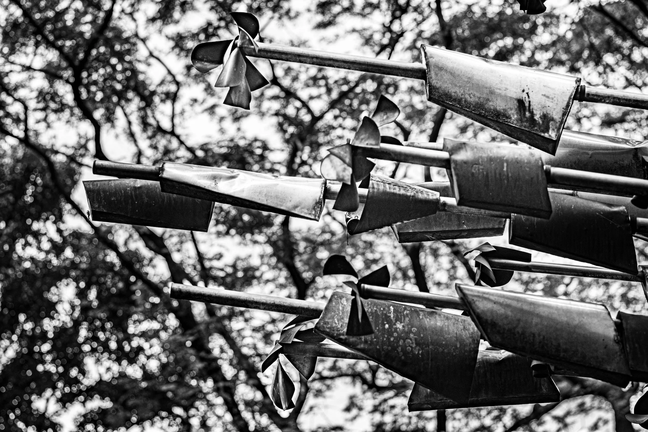 B Brutalist Photowalk Dec 2025-62.jpg