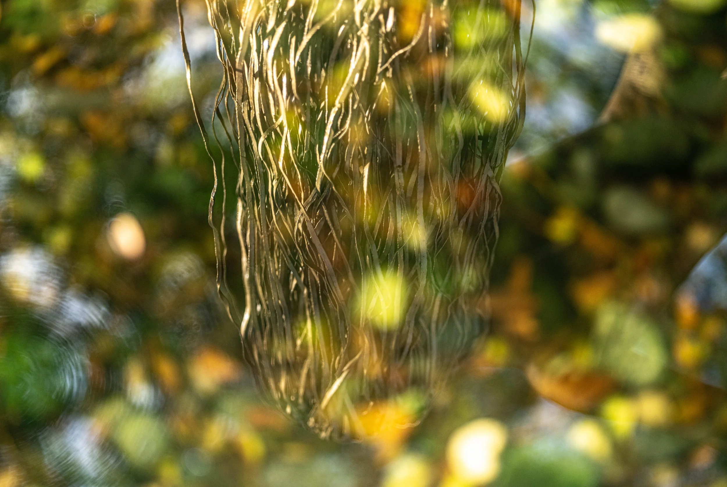 V Brutalist Photowalk Dec 2025-32.jpg