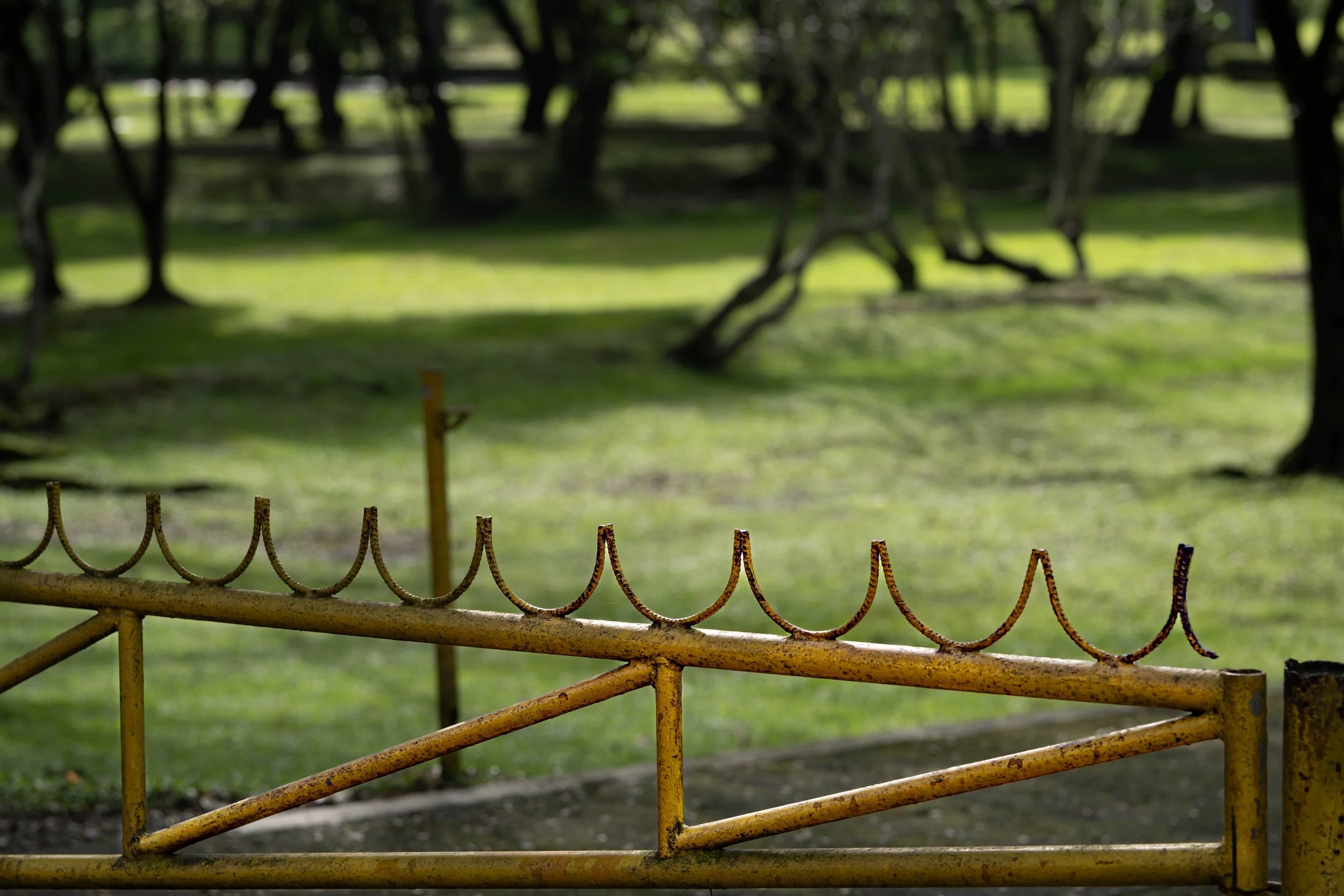 V Brutalist Photowalk Dec 2025-40.jpg