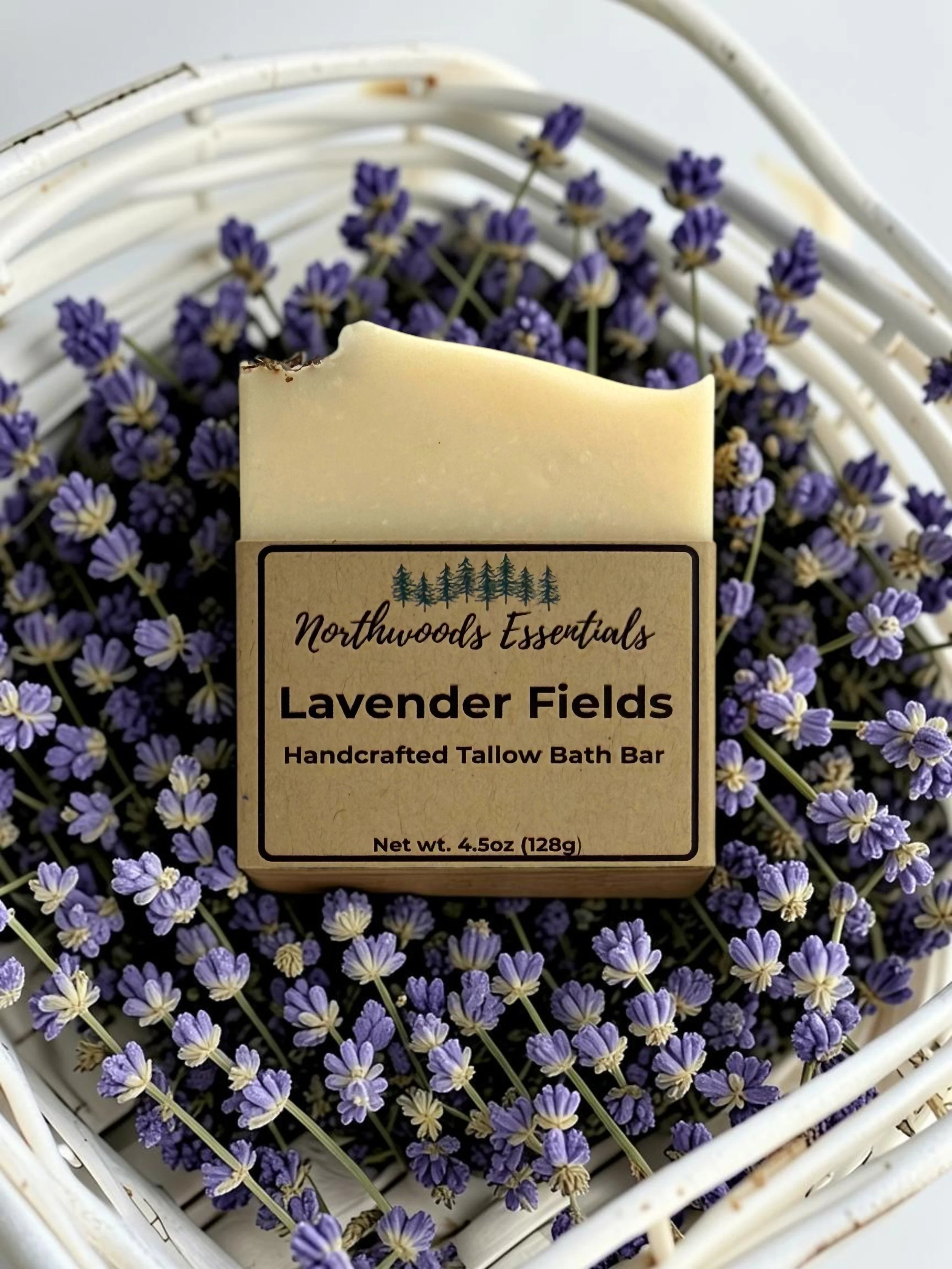 Lavender Fields