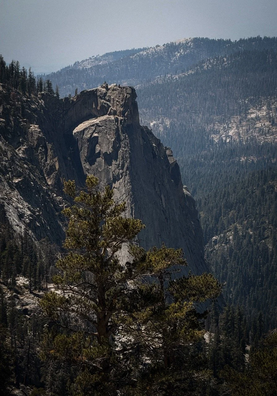 SEQUOIA-AUG2026-23 Large.jpeg