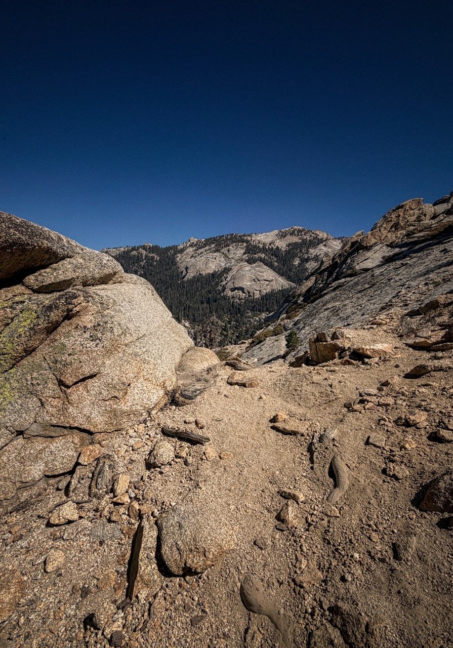 SEQUOIA-AUG2026-07 Large.jpeg
