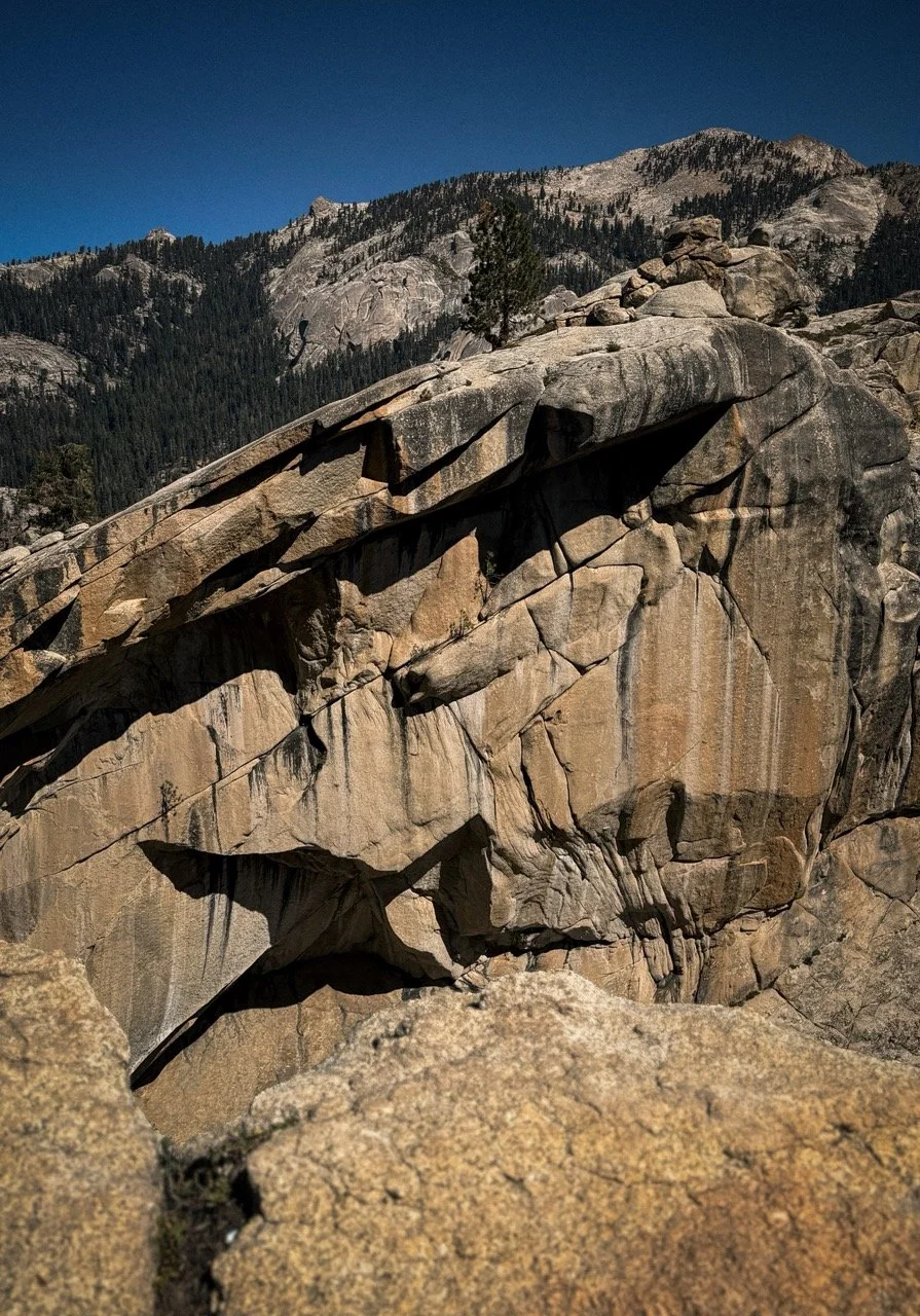 SEQUOIA-AUG2026-14 Large.jpeg