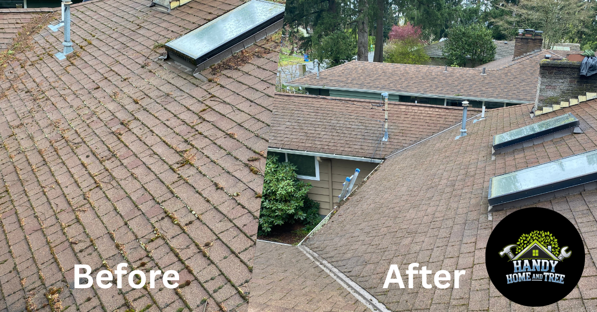 Roof Cleaning