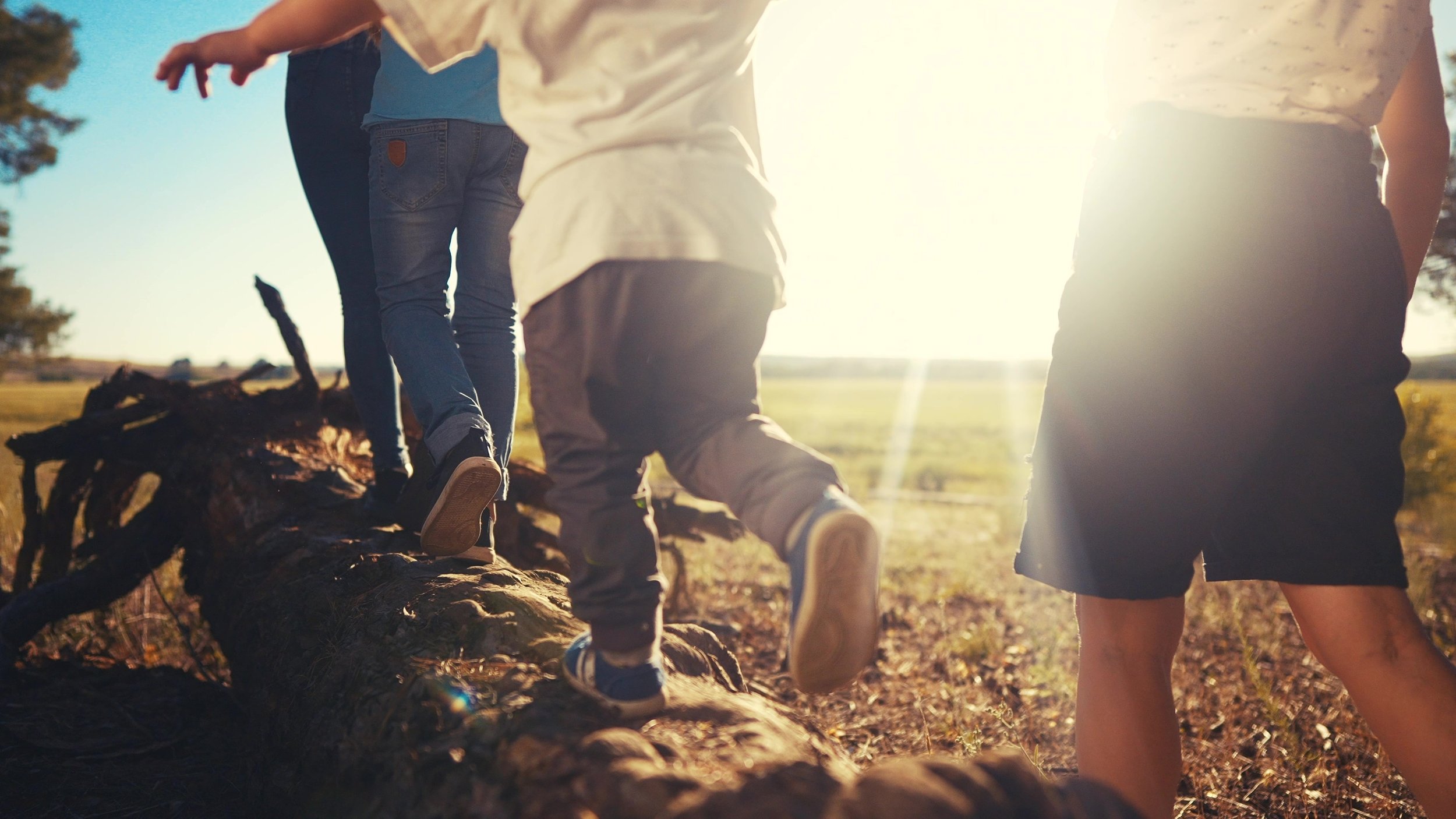 A big year of change - Updates to Family Violence in Family Law