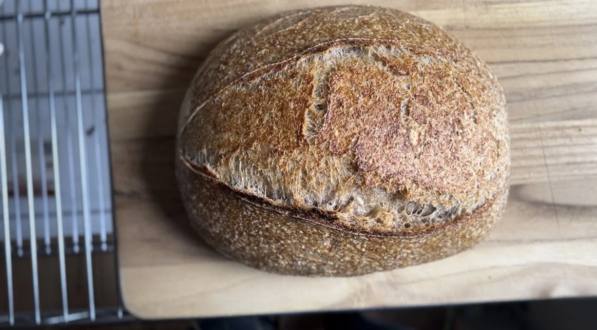 Flavor of the Month: Honey Whole Wheat Sourdough