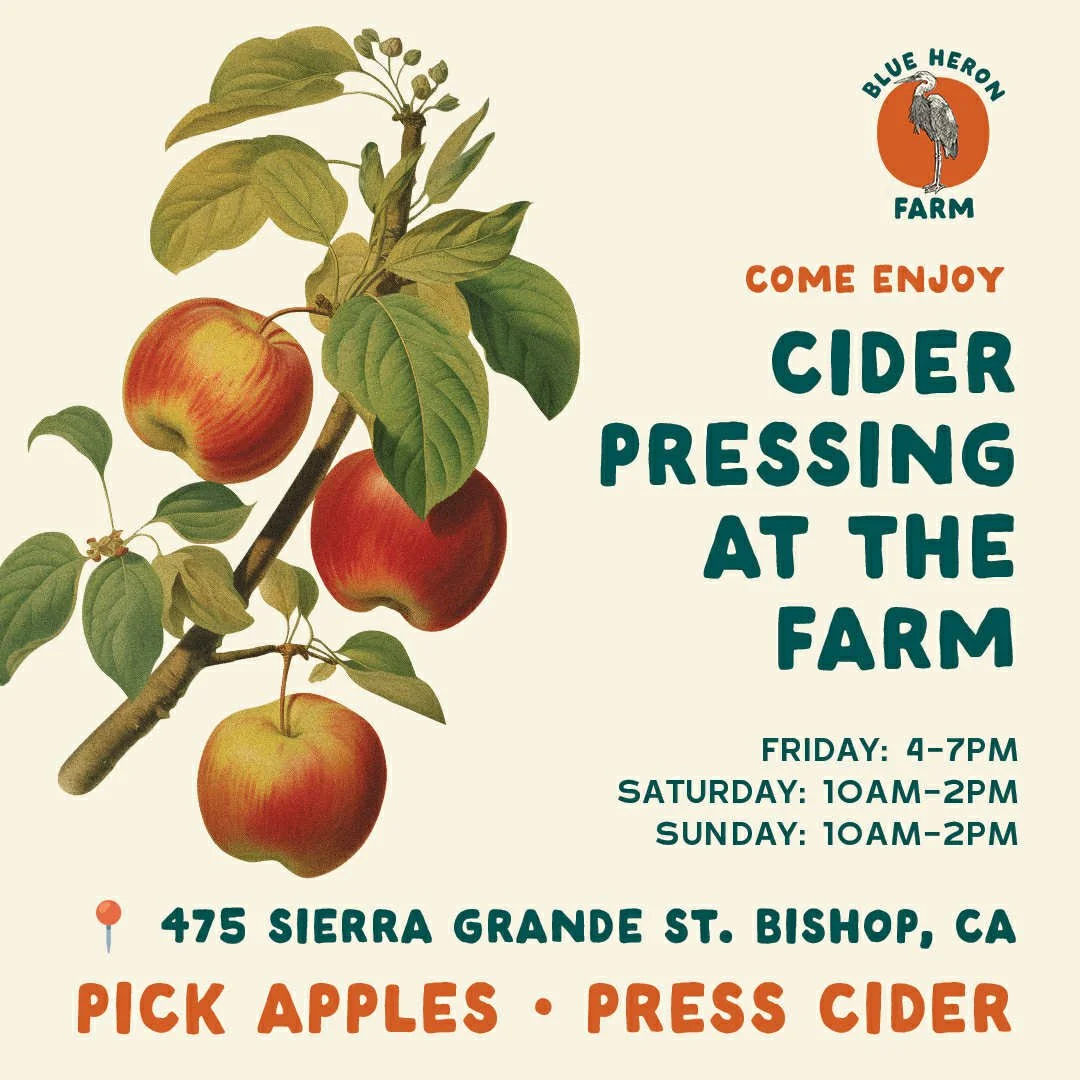 Cider Pressing at the Farm