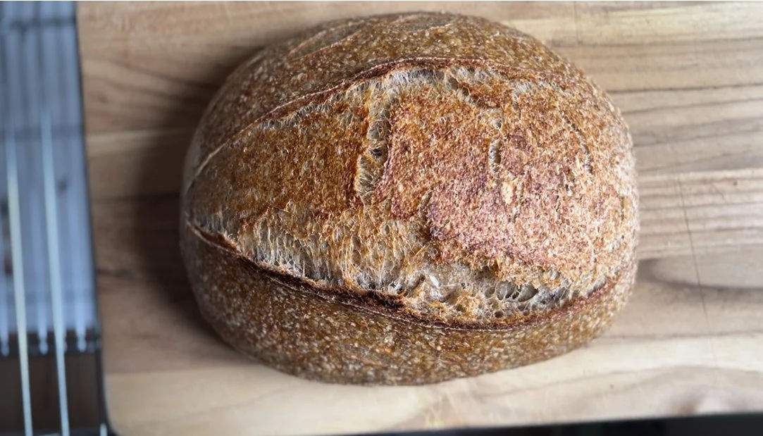 italian whole wheat.jpg