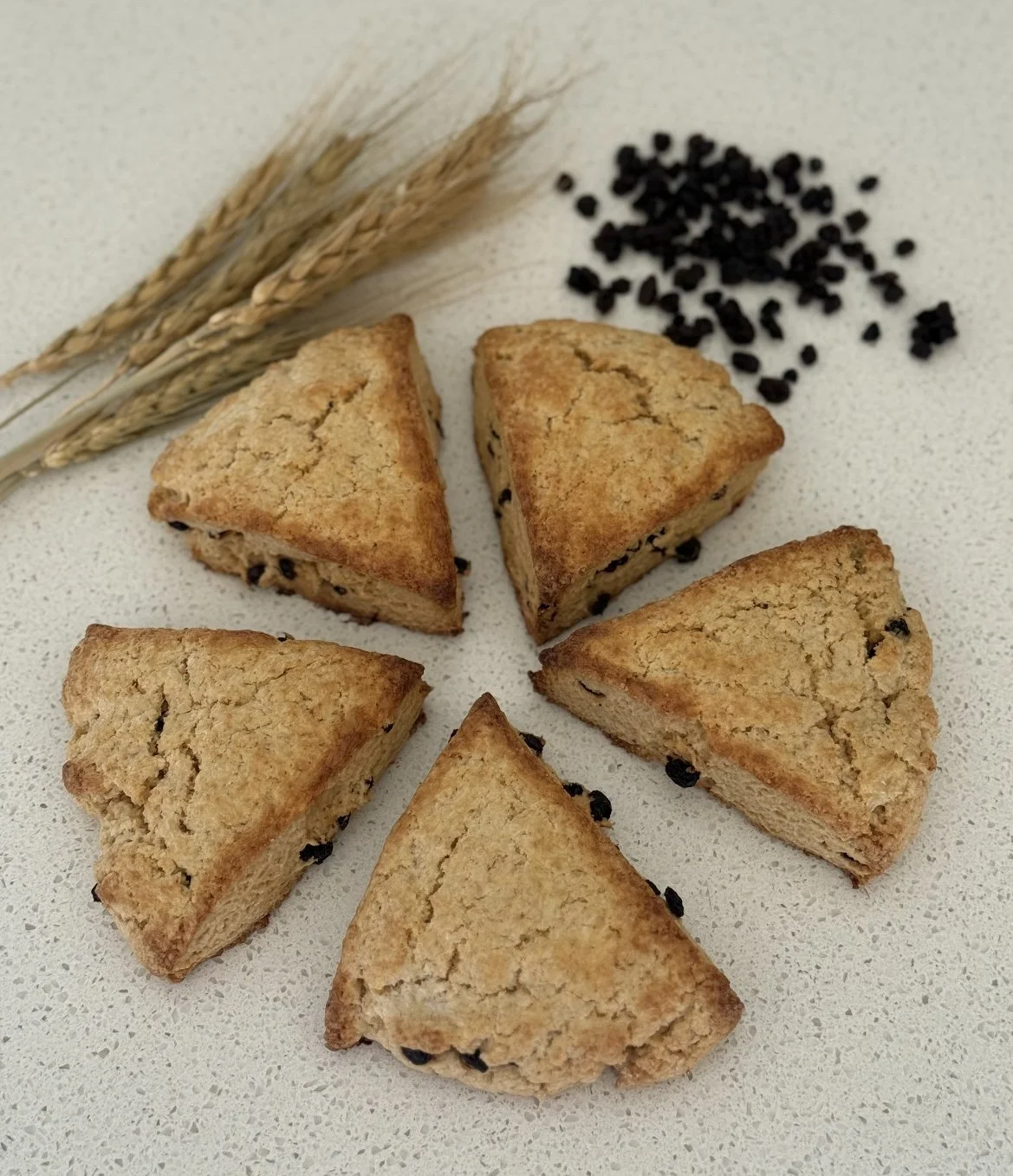 Whole Wheat & Currant Sourdough Scones