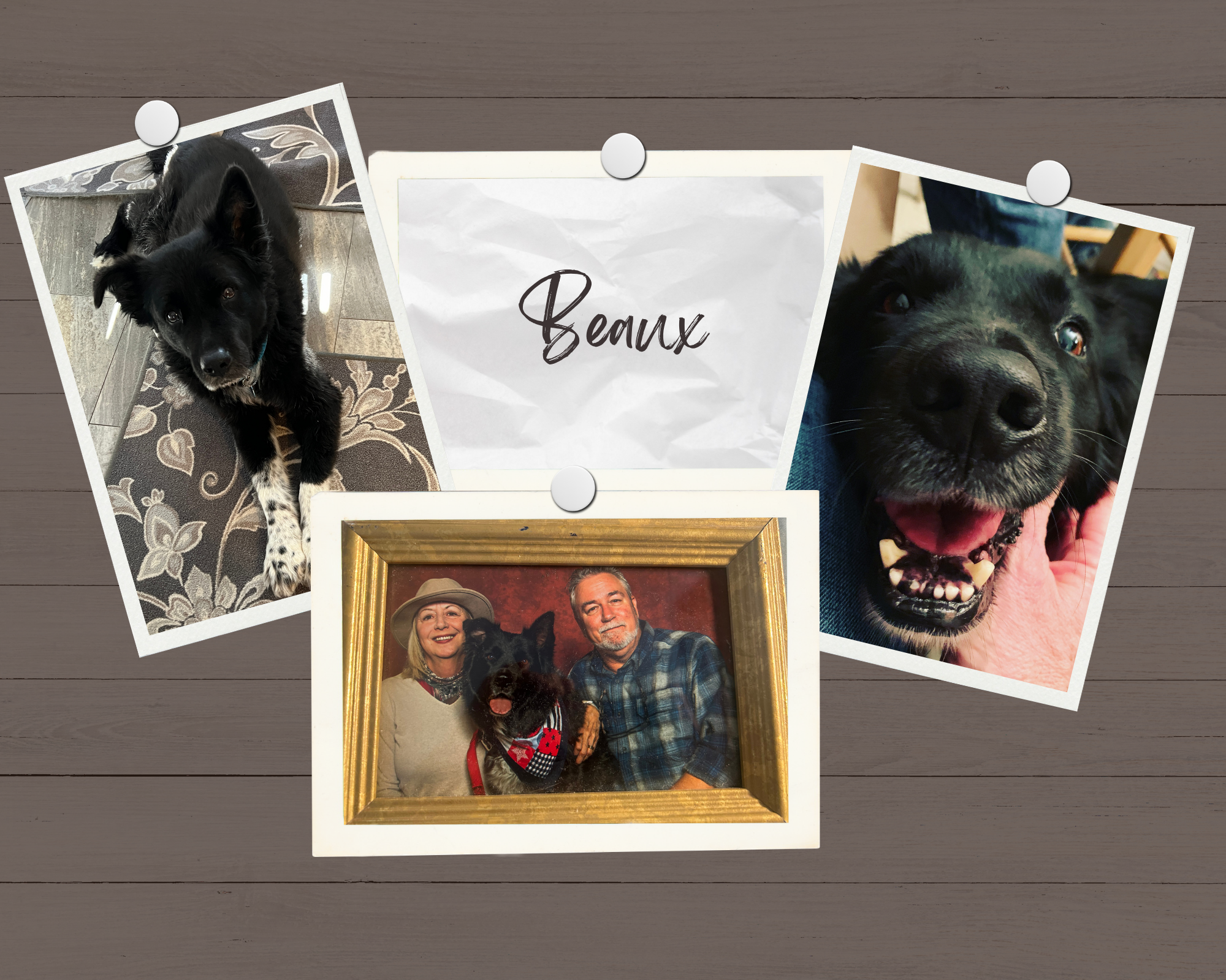 A collage of photographs featuring two black dogs and a family portrait with two adults and a dog, with a central note that says 'Beaux'.
