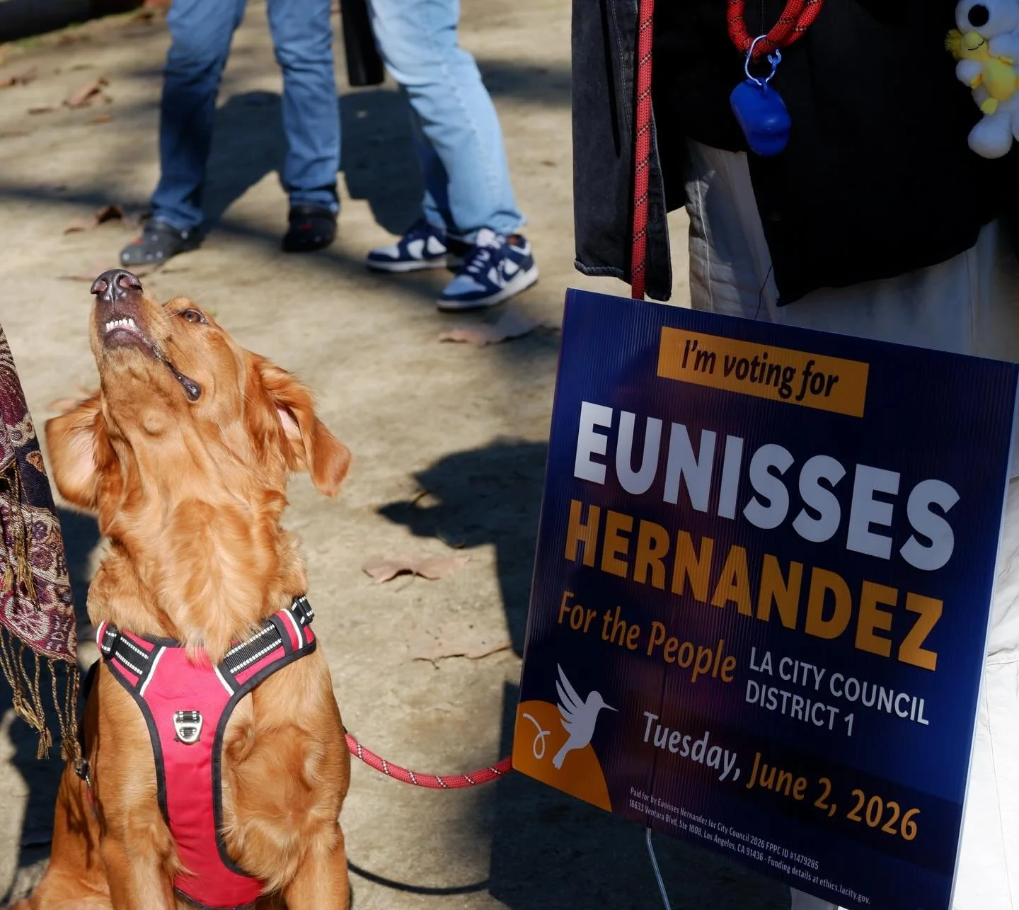 All the good boys and girls have yard signs! 🐾

Swing by the candidate forum at Franklin High School tonight at 6pm and pick up a sign after the event! We&rsquo;ll have a table outside.

See y&rsquo;all tonight! 🤩