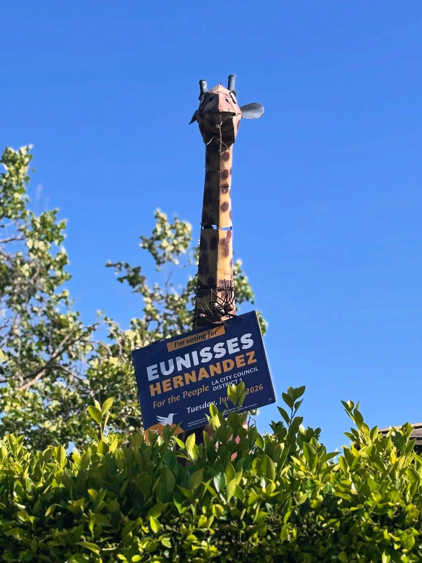 It&rsquo;s a jungle (primary) out there.🦒 I love you, Highland Park! 💛

Eunisses.us/yardsign