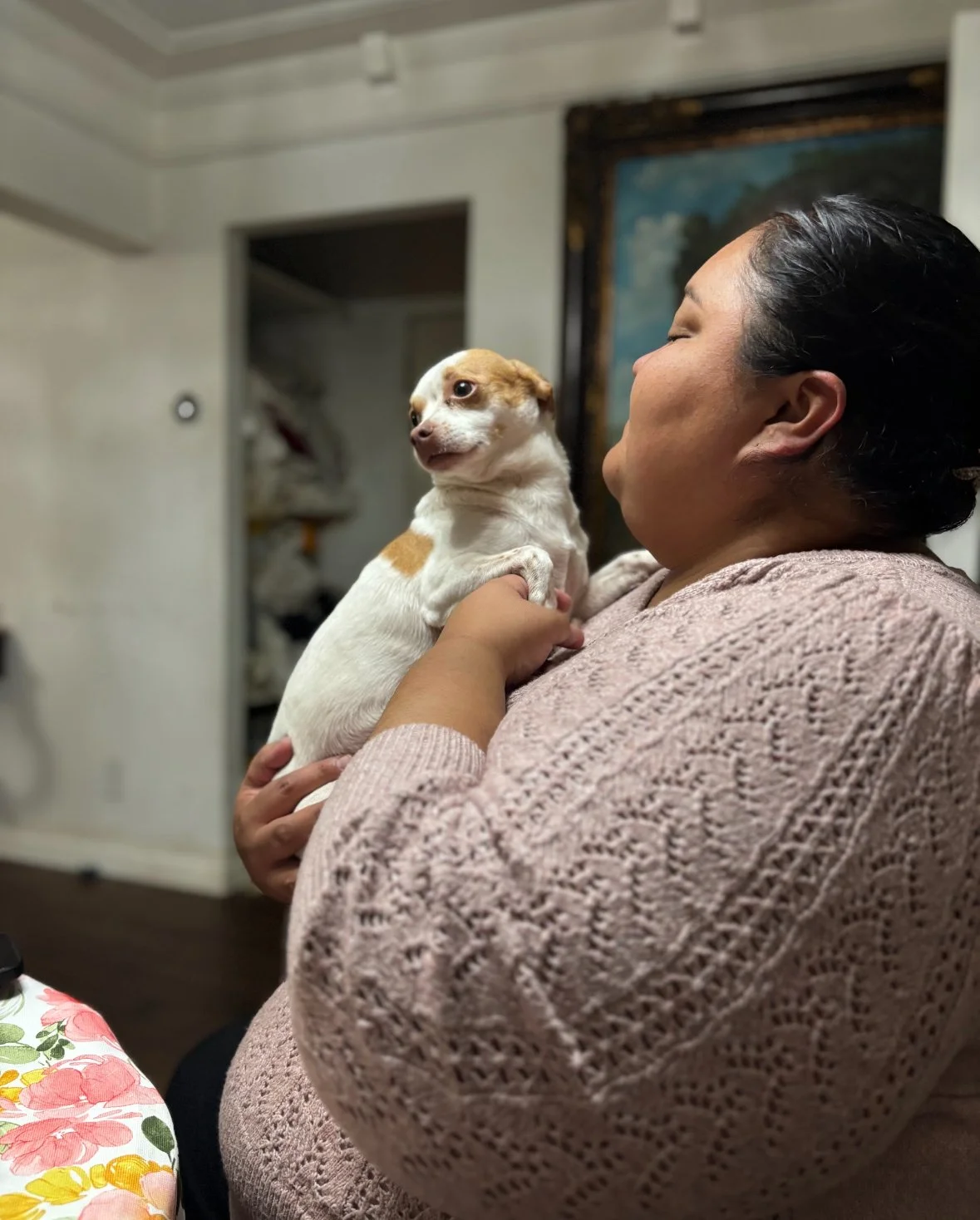 A woman holding and looking at a small tan and white dog in a cozy indoor setting.
