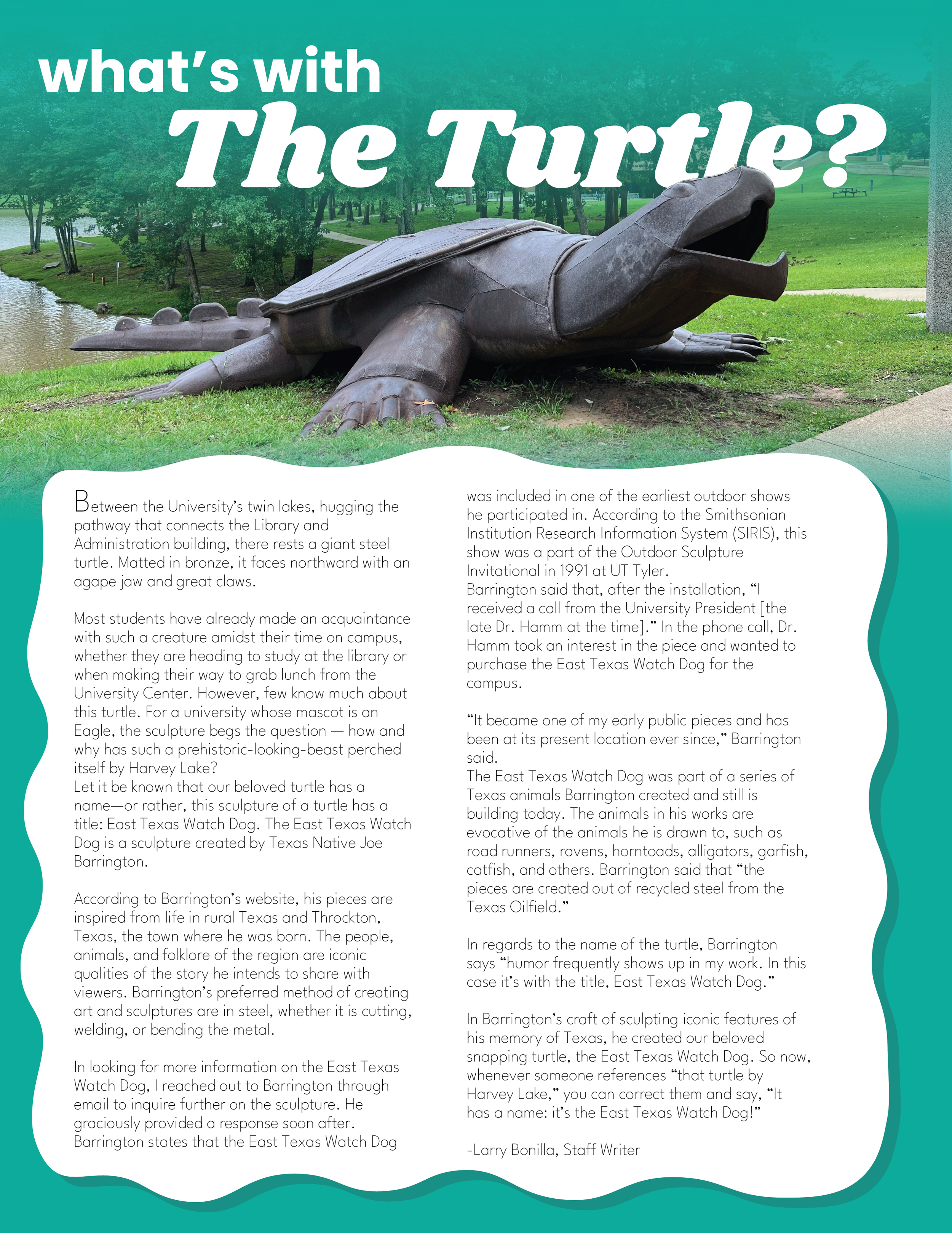 turtle.png