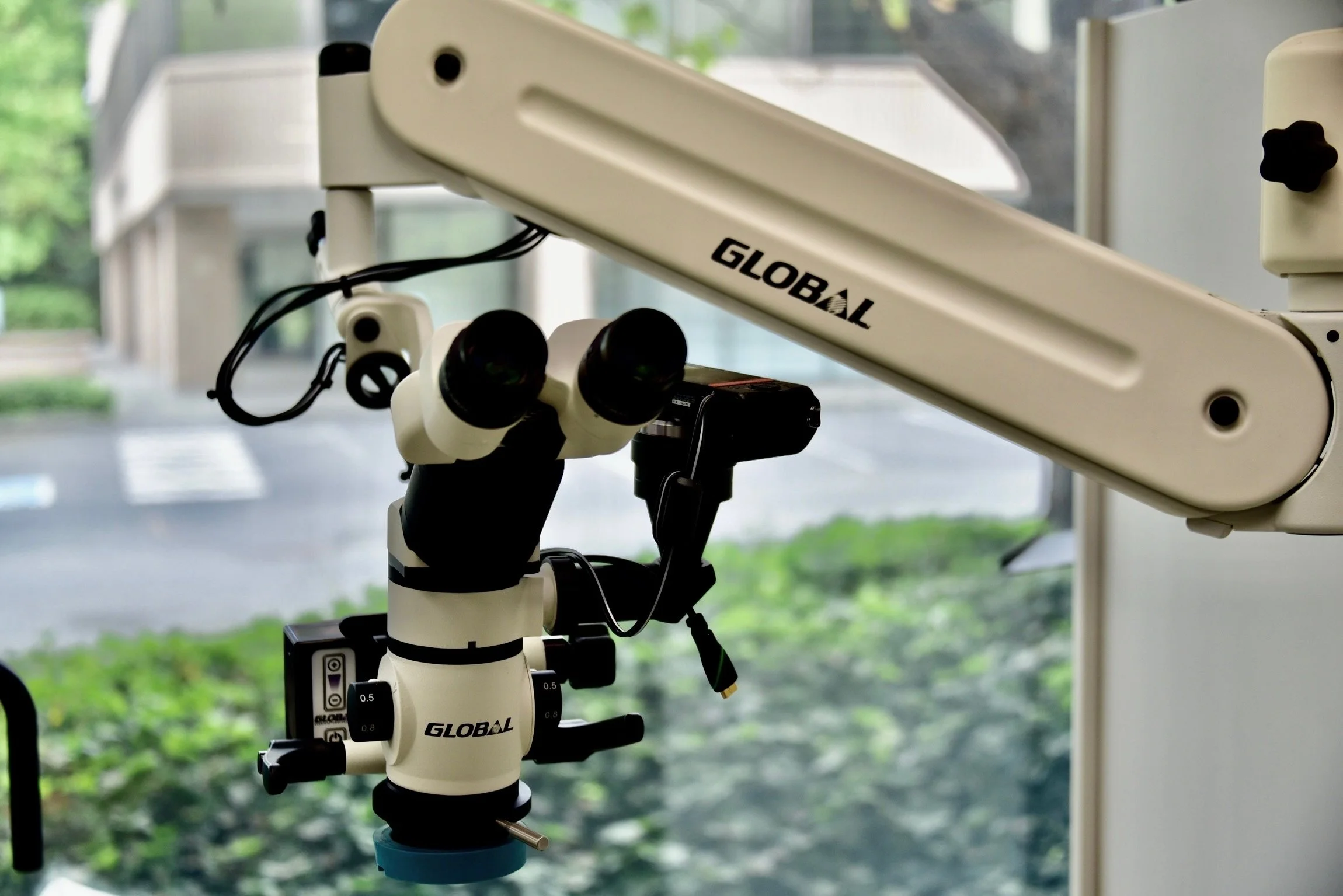 Microscope Magnification for Precision