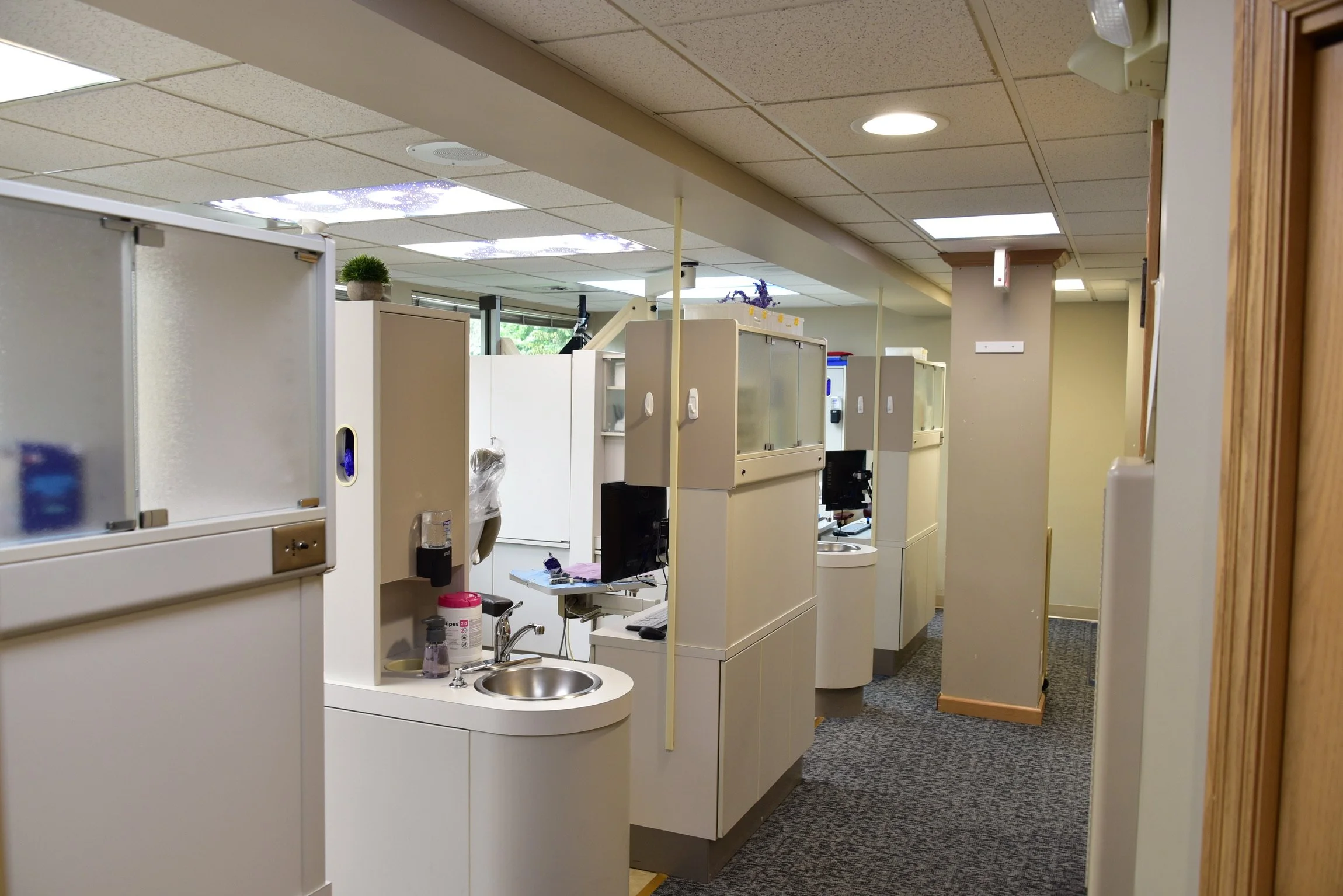 Bright and Clean Office