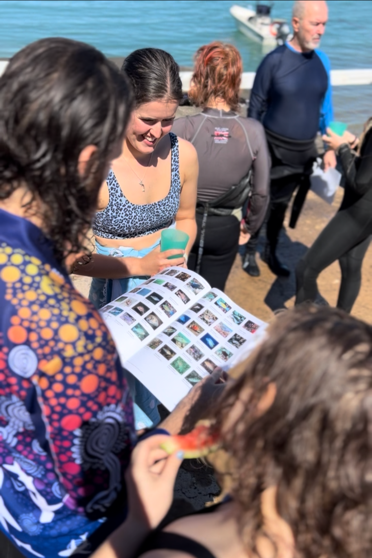 Reef Blitz at Geoffrey Bay: Citizen Science in Action on Magnetic Island