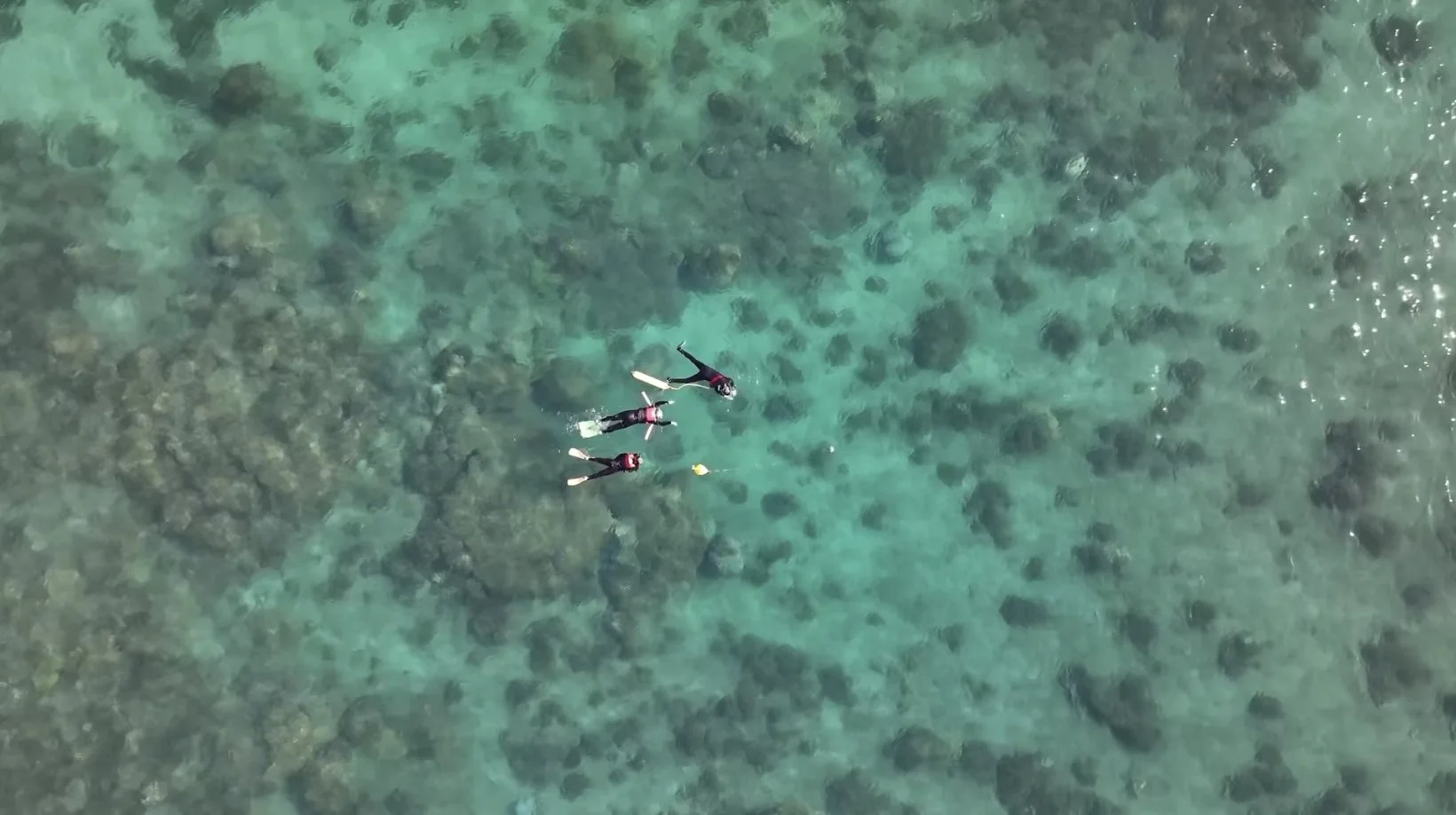 Private snorkel tour