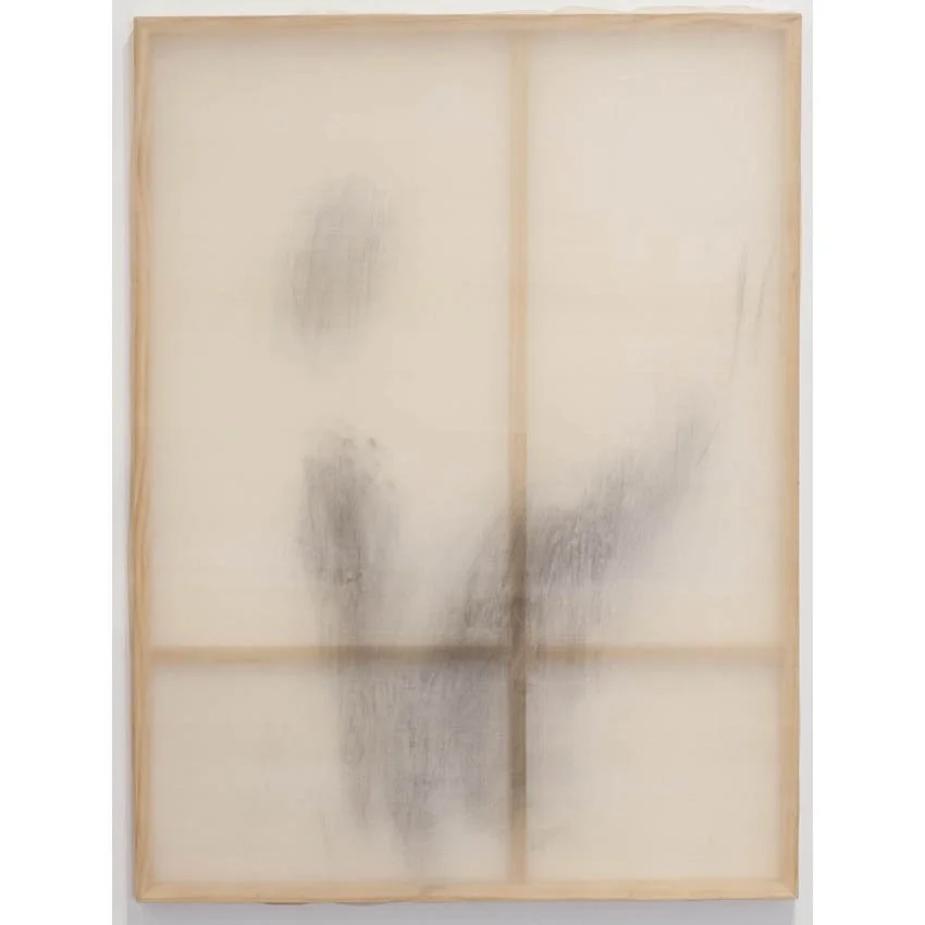 silkcharcoal1.jpg