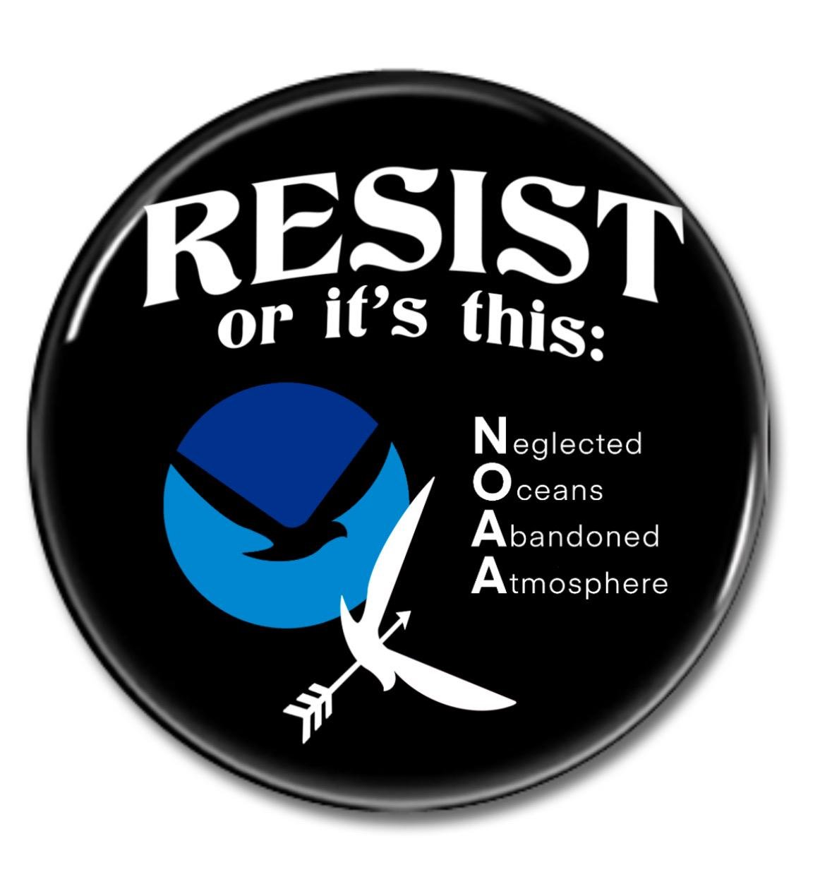 https://i.etsystatic.com/57780142/r/il/7b51f0/6739134256/il_fullxfull.6739134256_i5xt.jpg