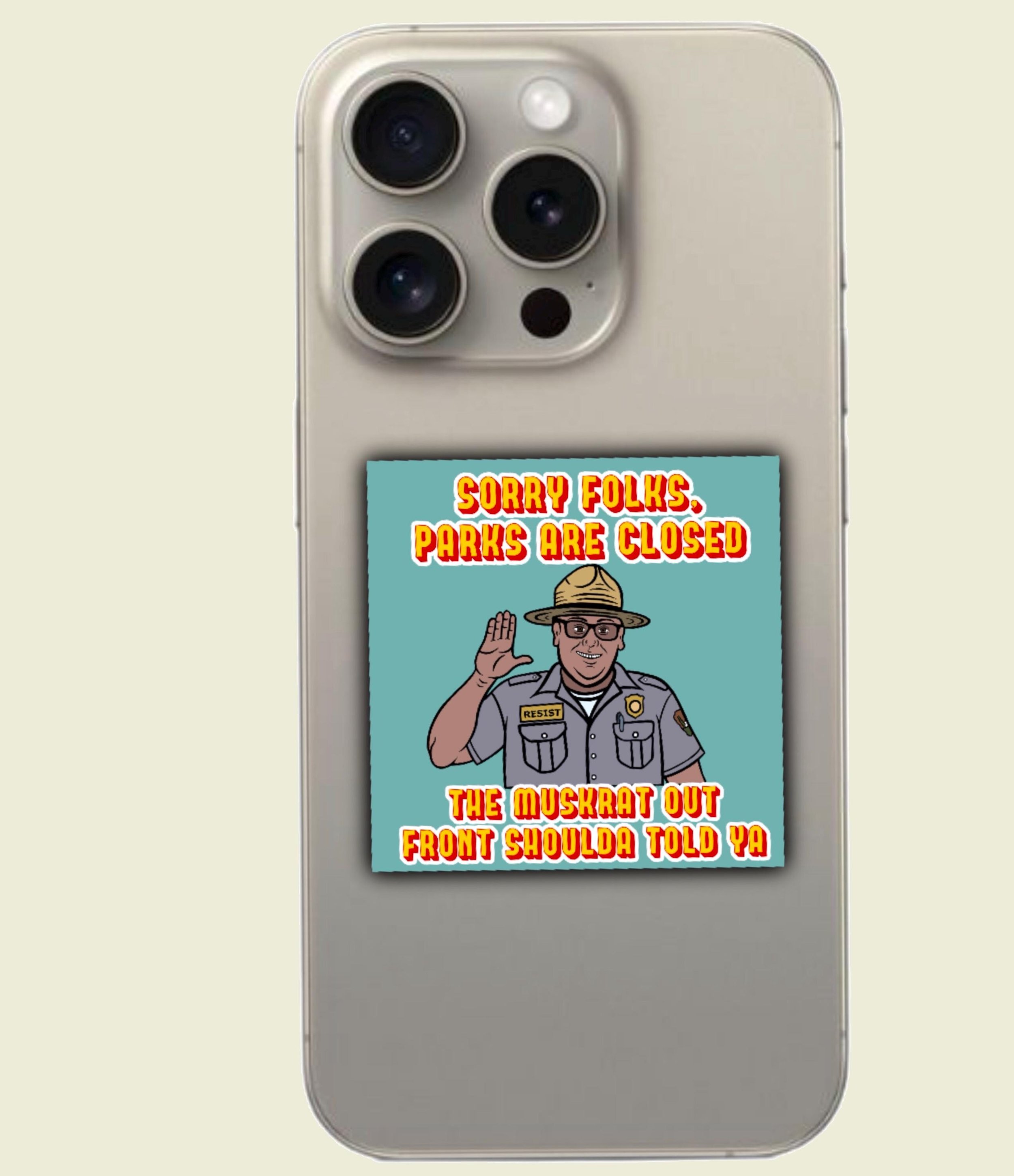 https://i.etsystatic.com/57780142/r/il/faed54/6766352287/il_fullxfull.6766352287_gynq.jpg