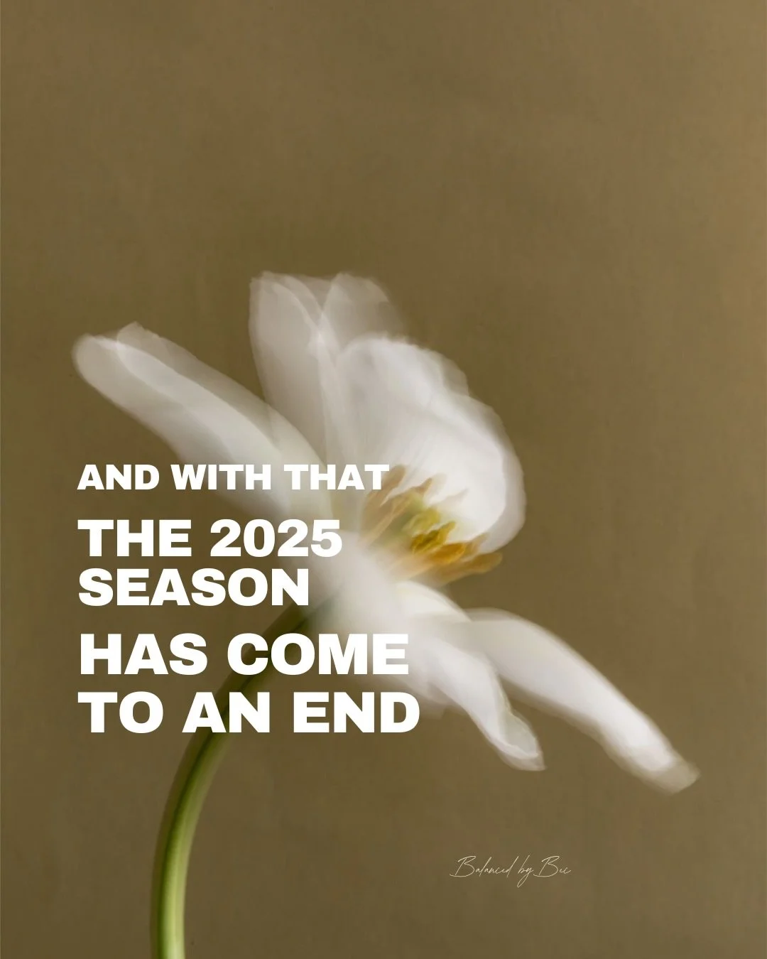 A year of building, becoming, and leaning into change <3333 From finishing my Masters degree, to graduating, and finally opening my books to my very own private practice clinic (!!!)

My path from Dancer to Dietitian has definitely led me to a lov