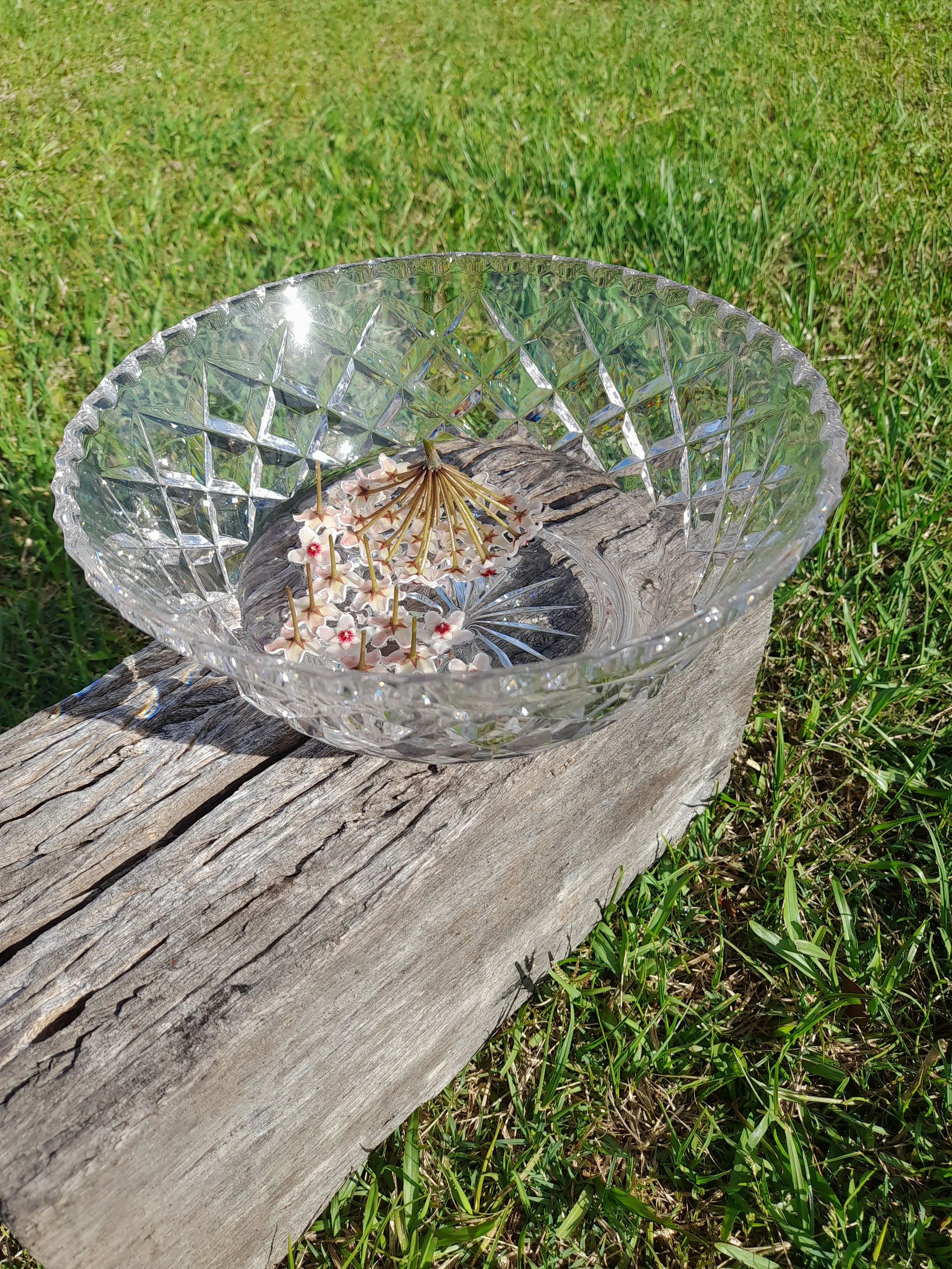 Botanical Notes Flower Essences.jpg