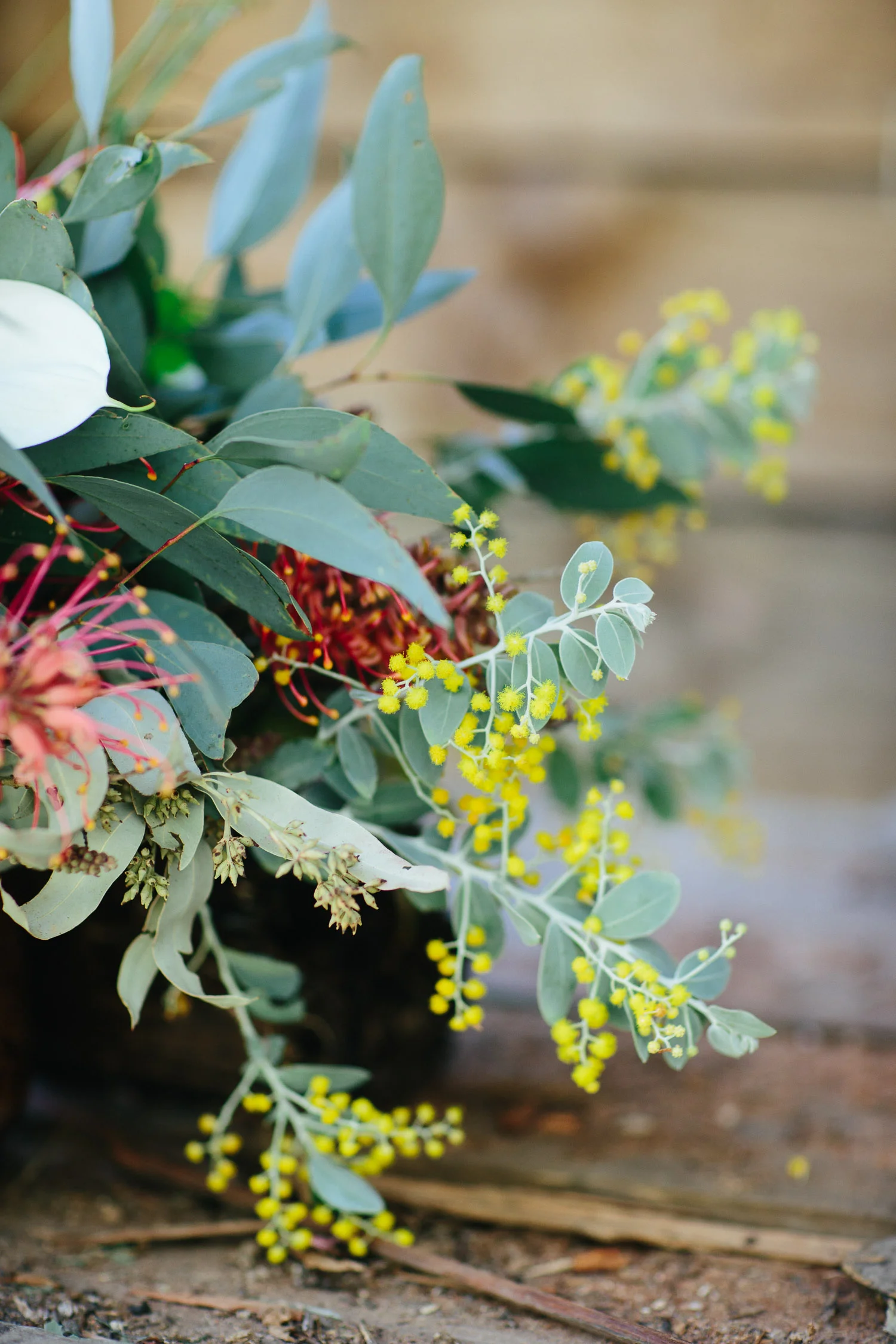 Dancing Blossom Studio Foraged Wedding Florist-8.jpg