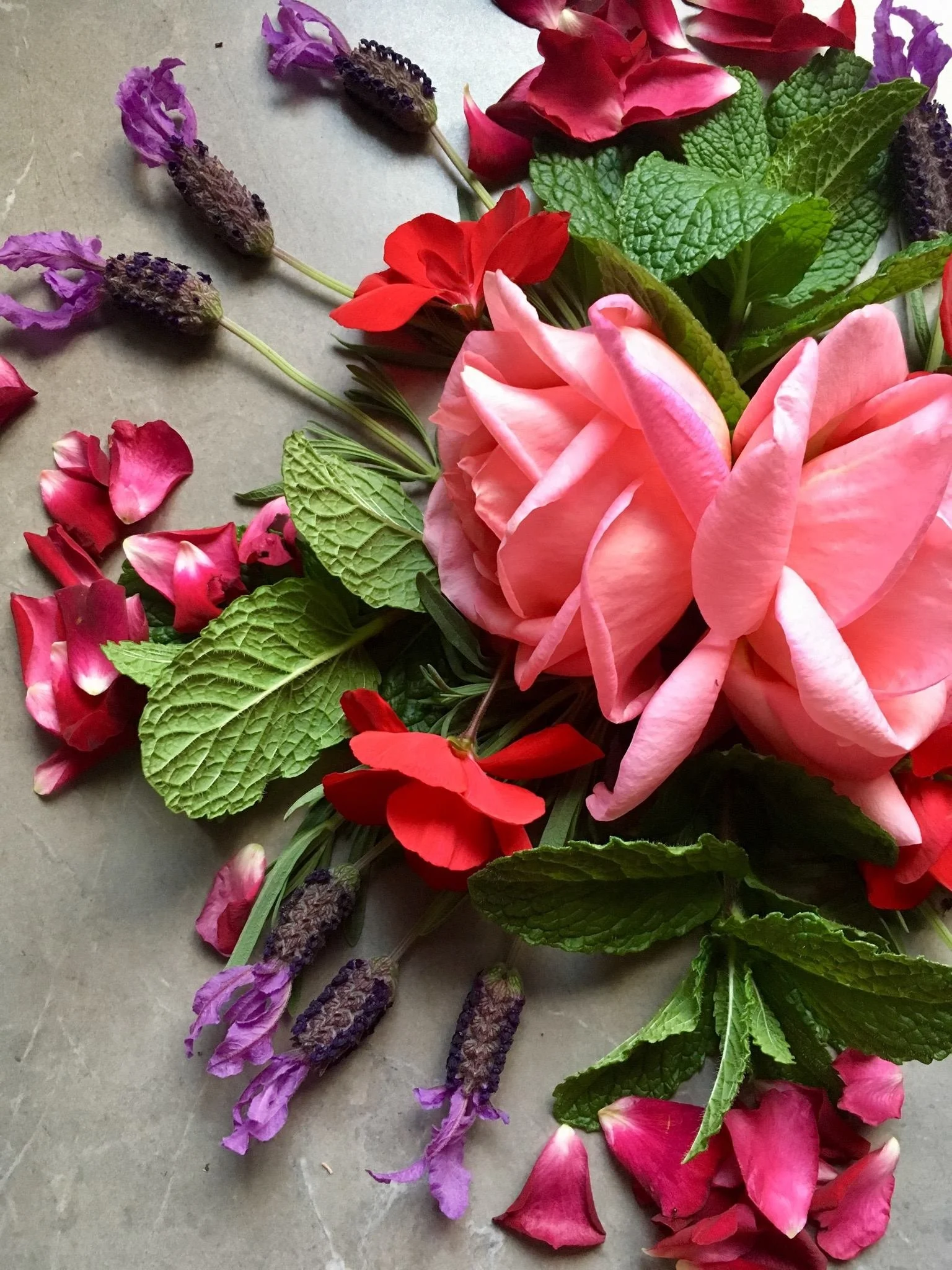 Botanical Notes Apothecary Hunter Valley Herbs.jpg