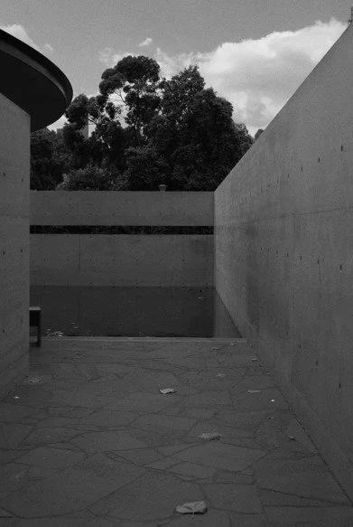 Screenshot 2026-01-27 110214.jpg