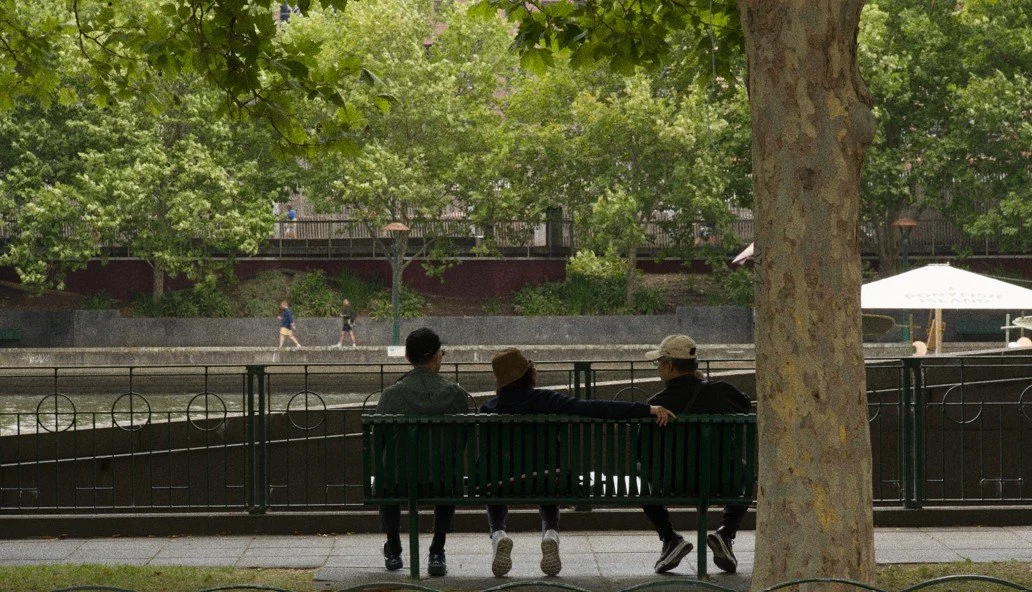 A dark gray textured vase with green and reddish plant stems, a white cylindrical device with a metallic base, and two books titled "The Wellness Cabinet" and "Plants at Your Place" arranged on a white surface against a plain light wall.