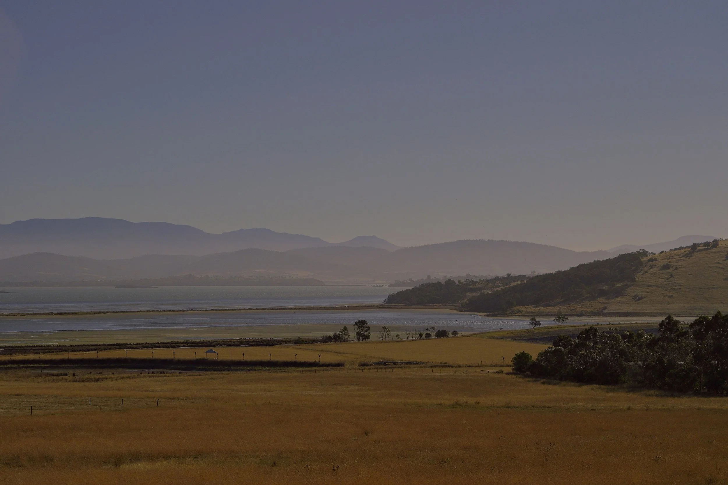 Tasman Haze
