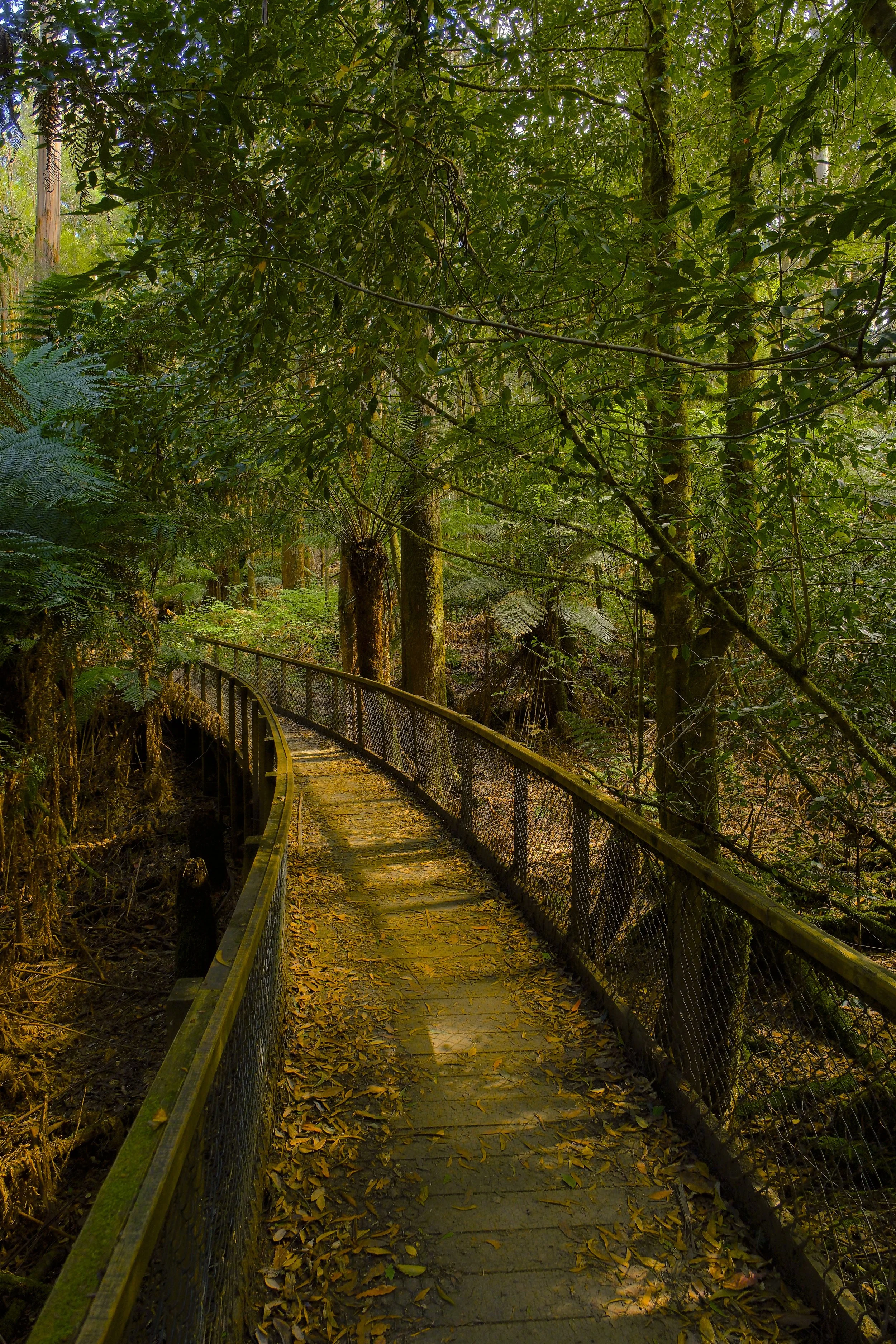 Into The Green
