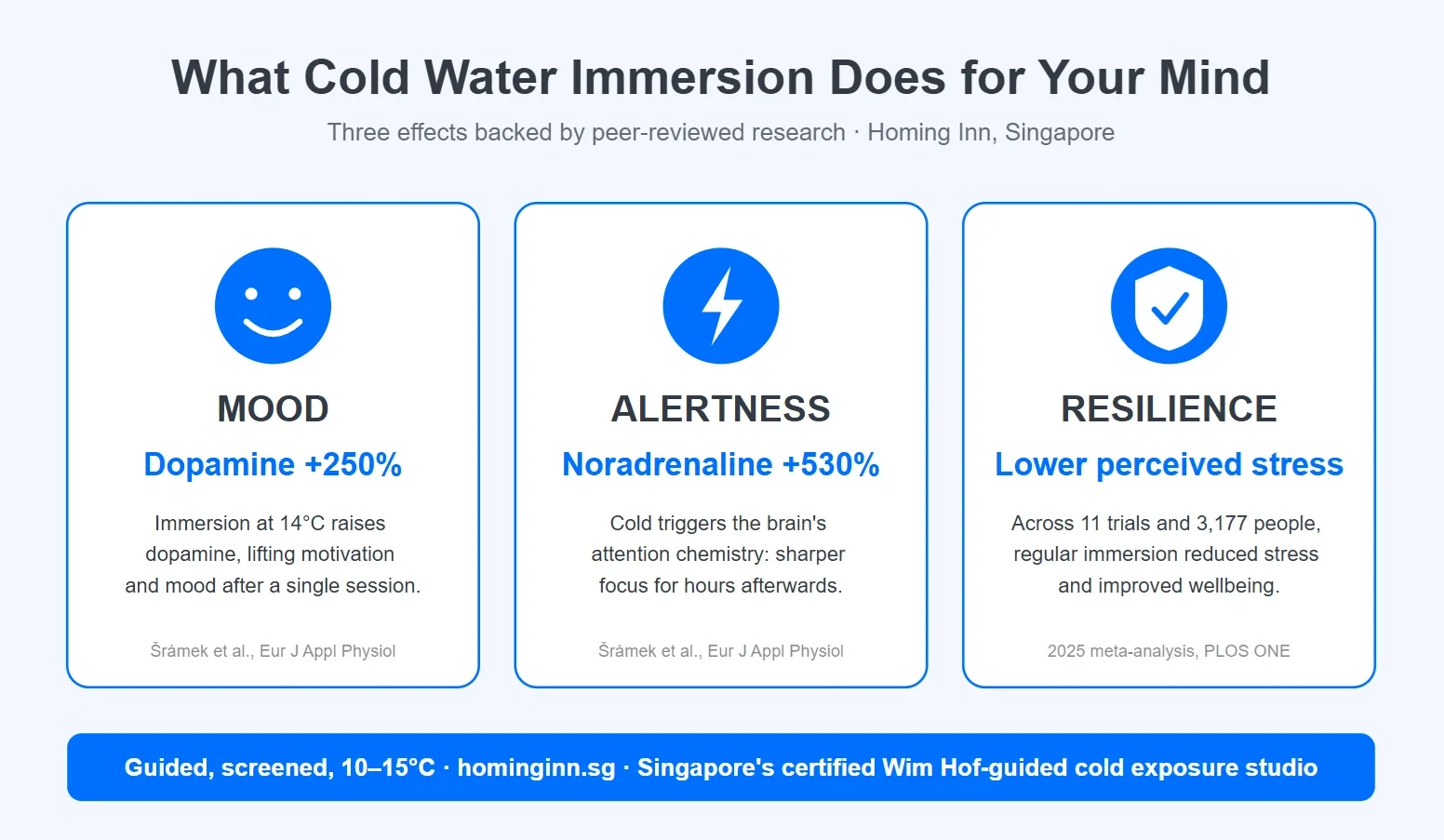 Ice Bath Therapy for Mental Health: Benefits, Evidence &amp; What to Expect at Homing Inn
