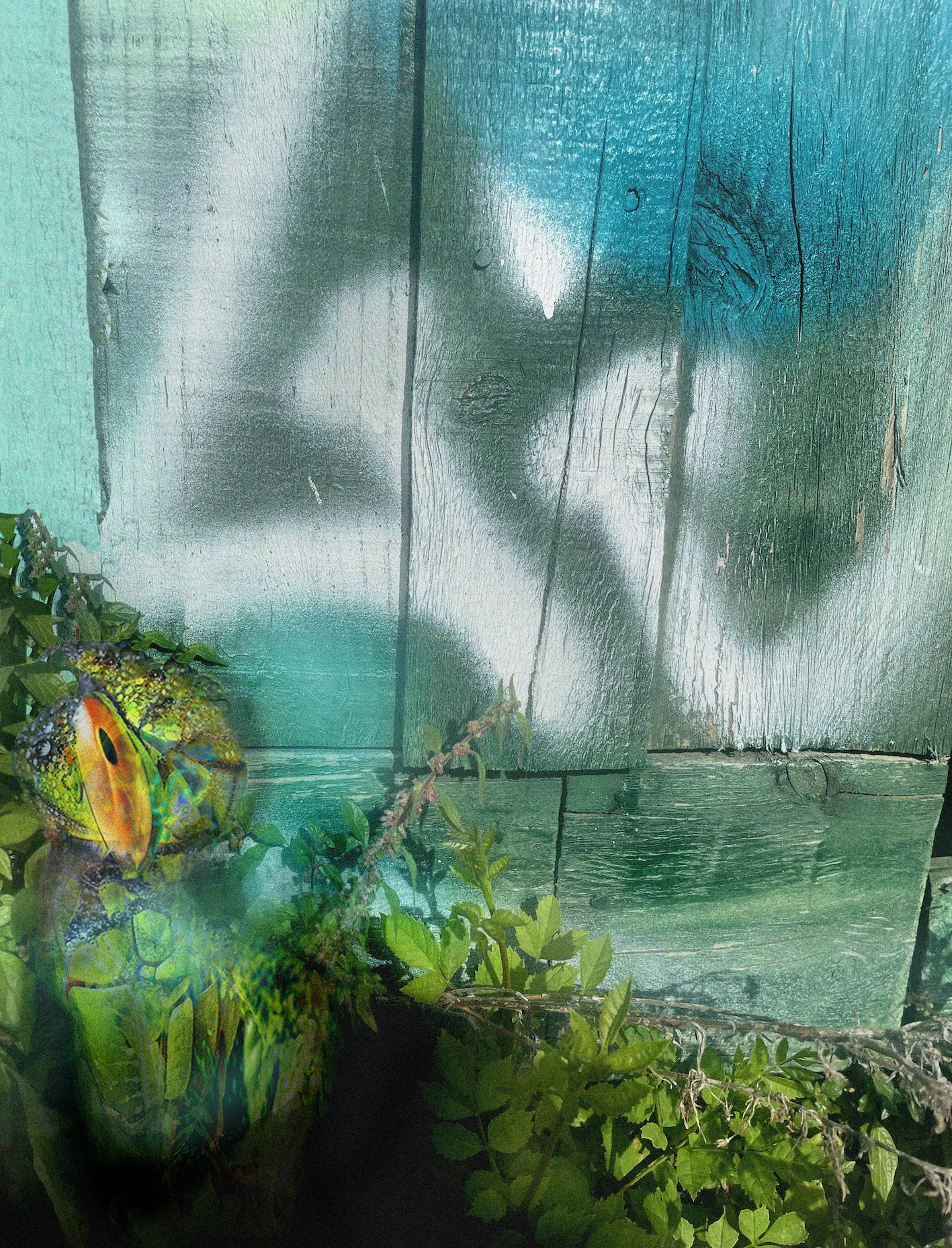 bugdraftweed8 copy.jpeg