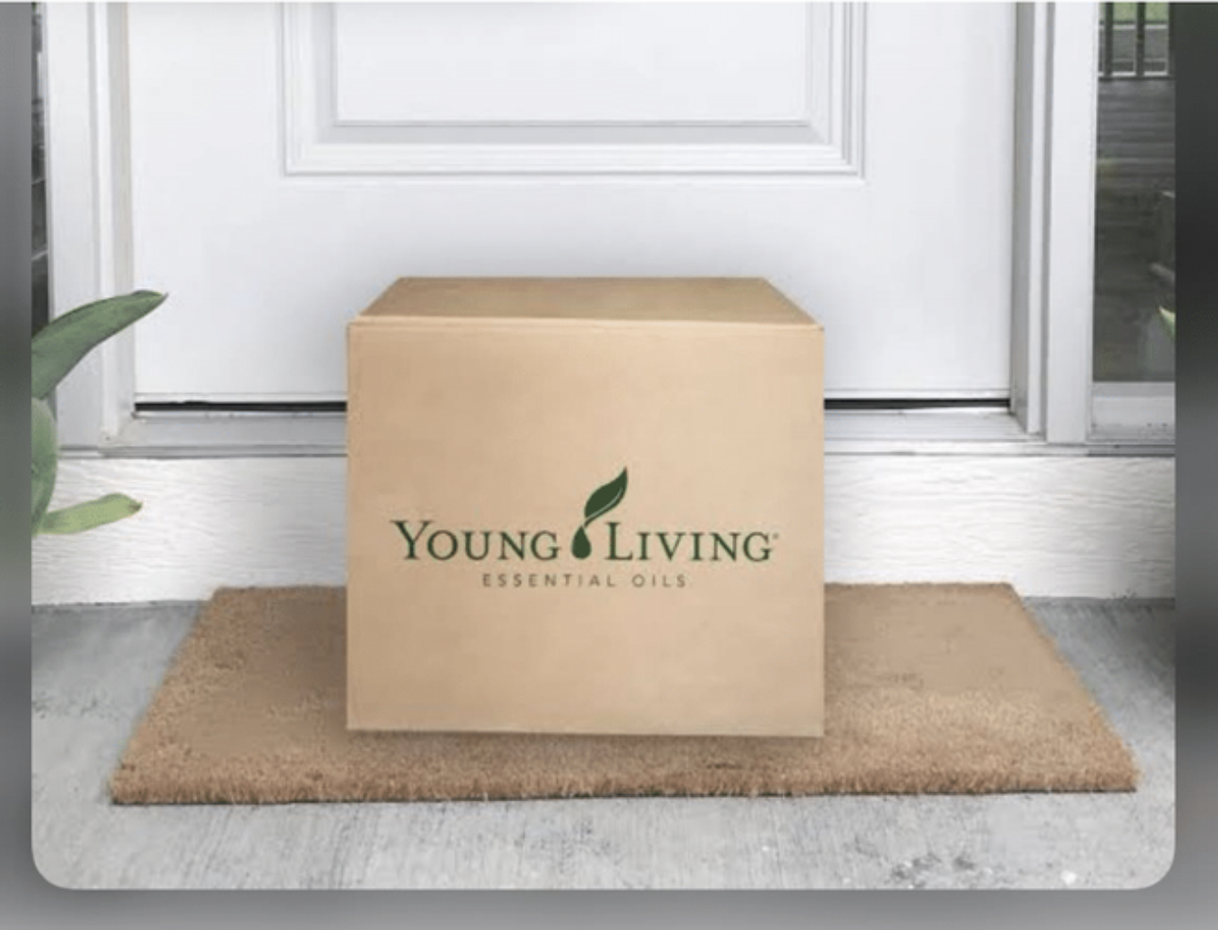 What’s in your monthly box?