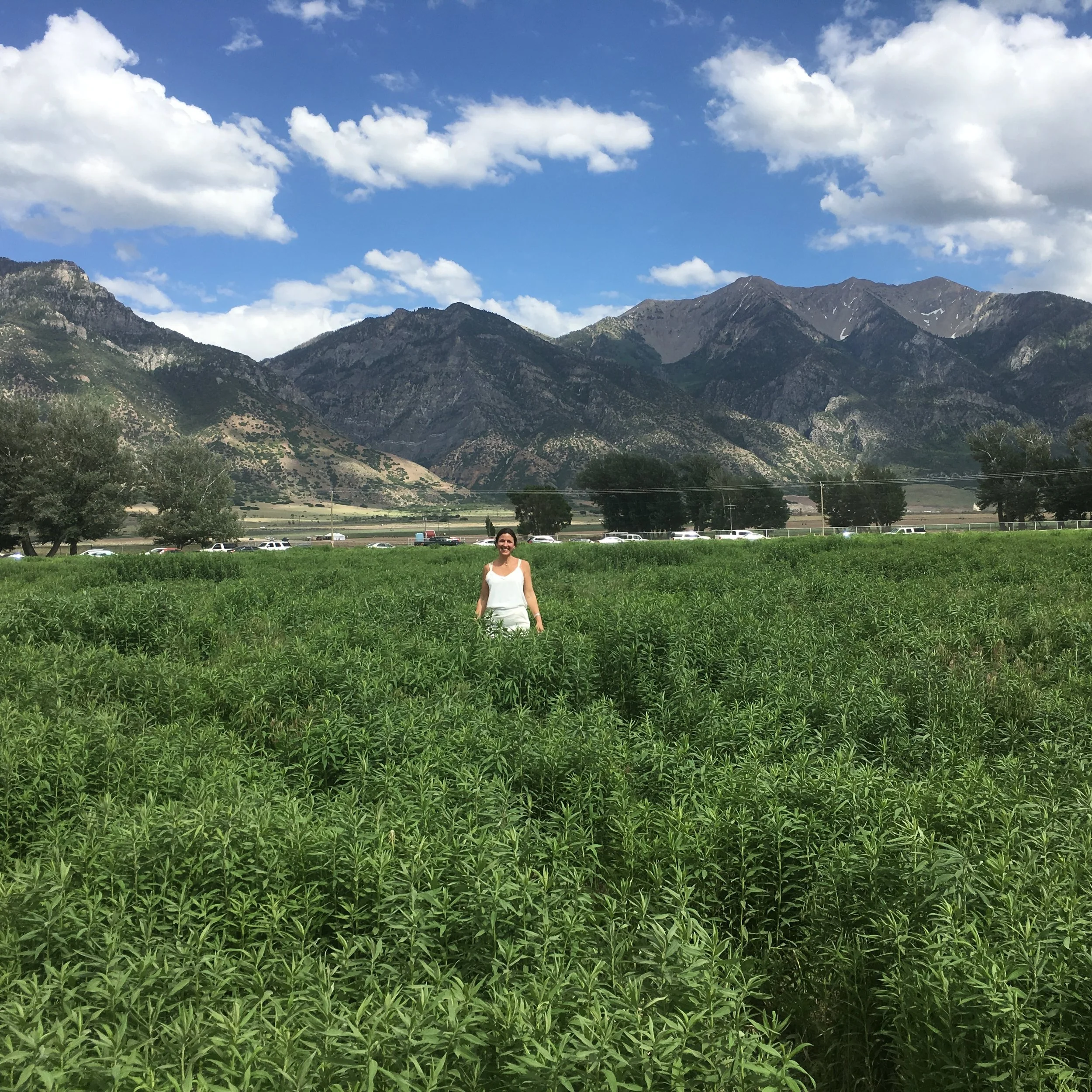 Why Farm Ownership Is So Important