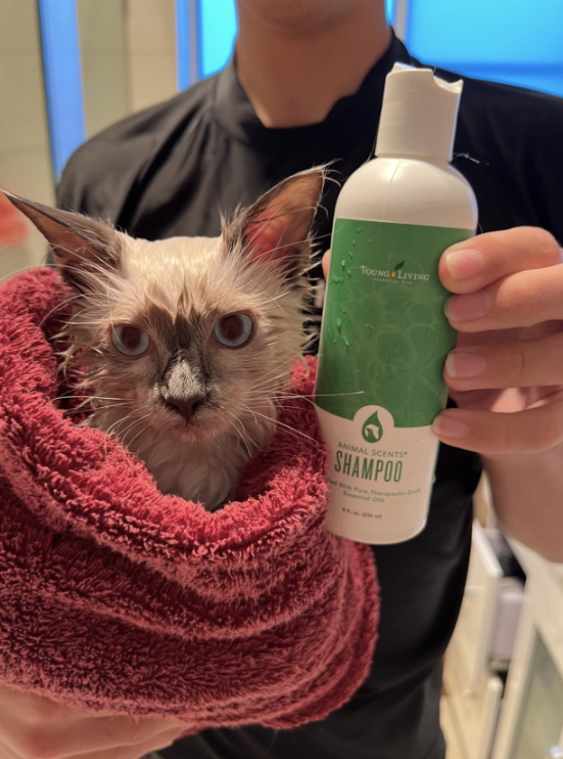 Using Young Living essential oils on animals