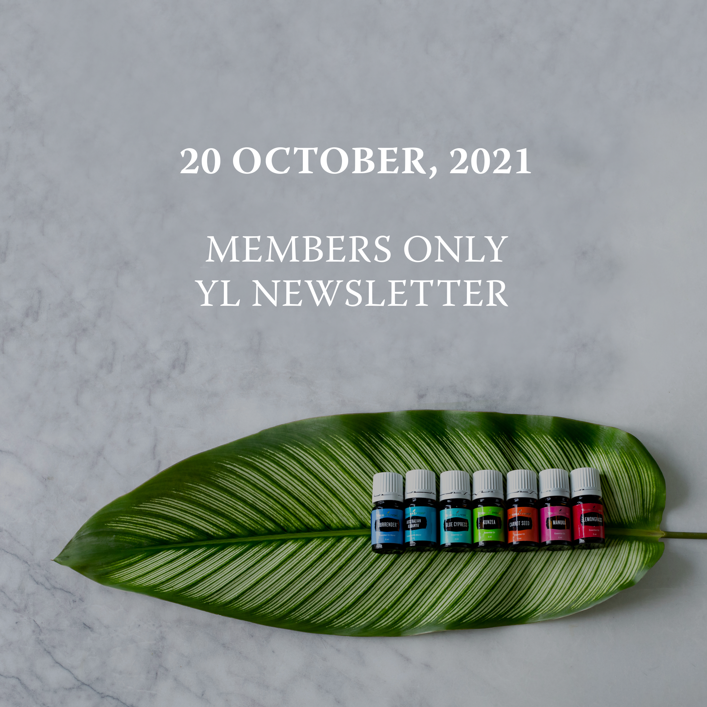 Natural Perfumery 101 - Nov 4th YL members only oils group!