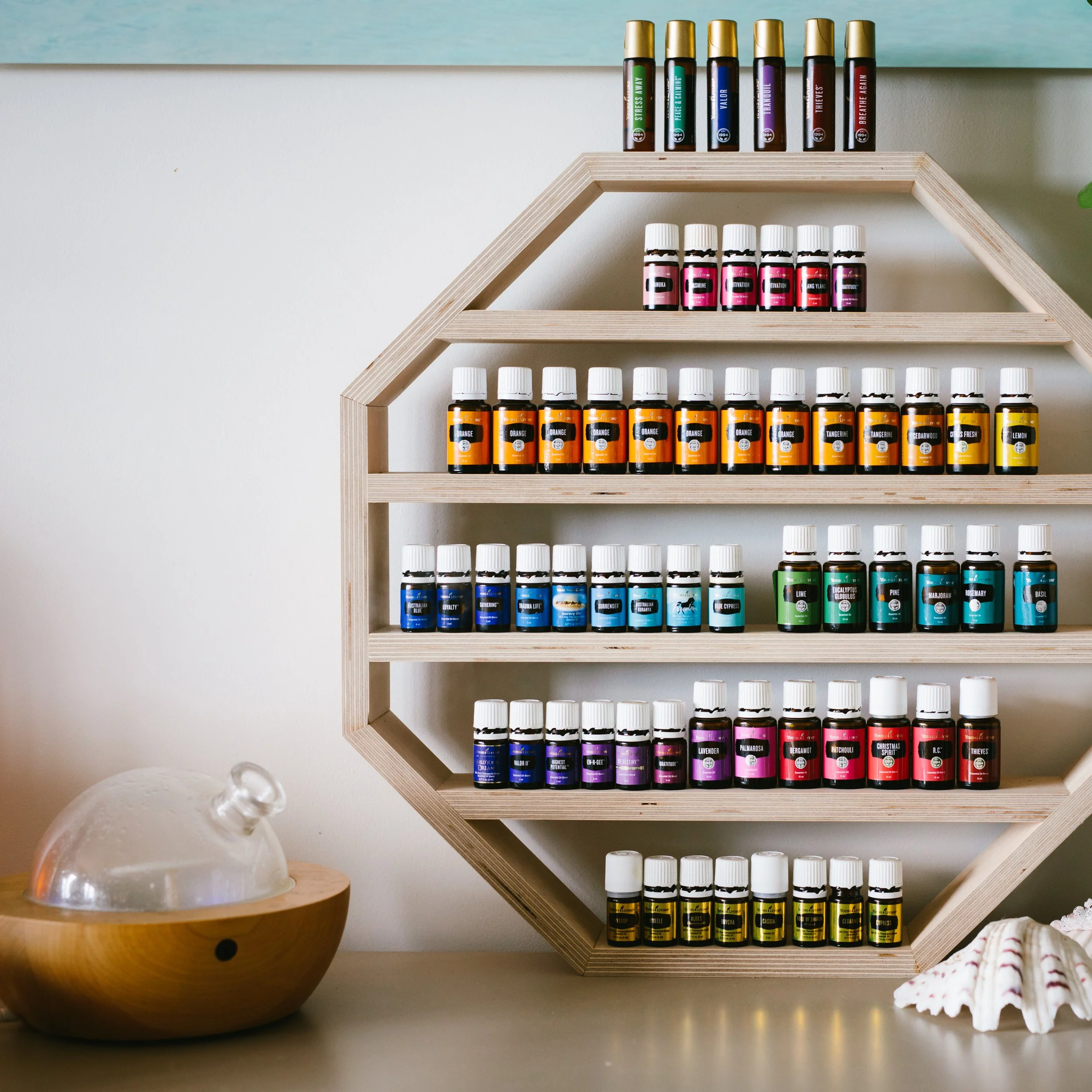 November - Oils 101 low toxic living (introductory workshop) - Non Young Living Member