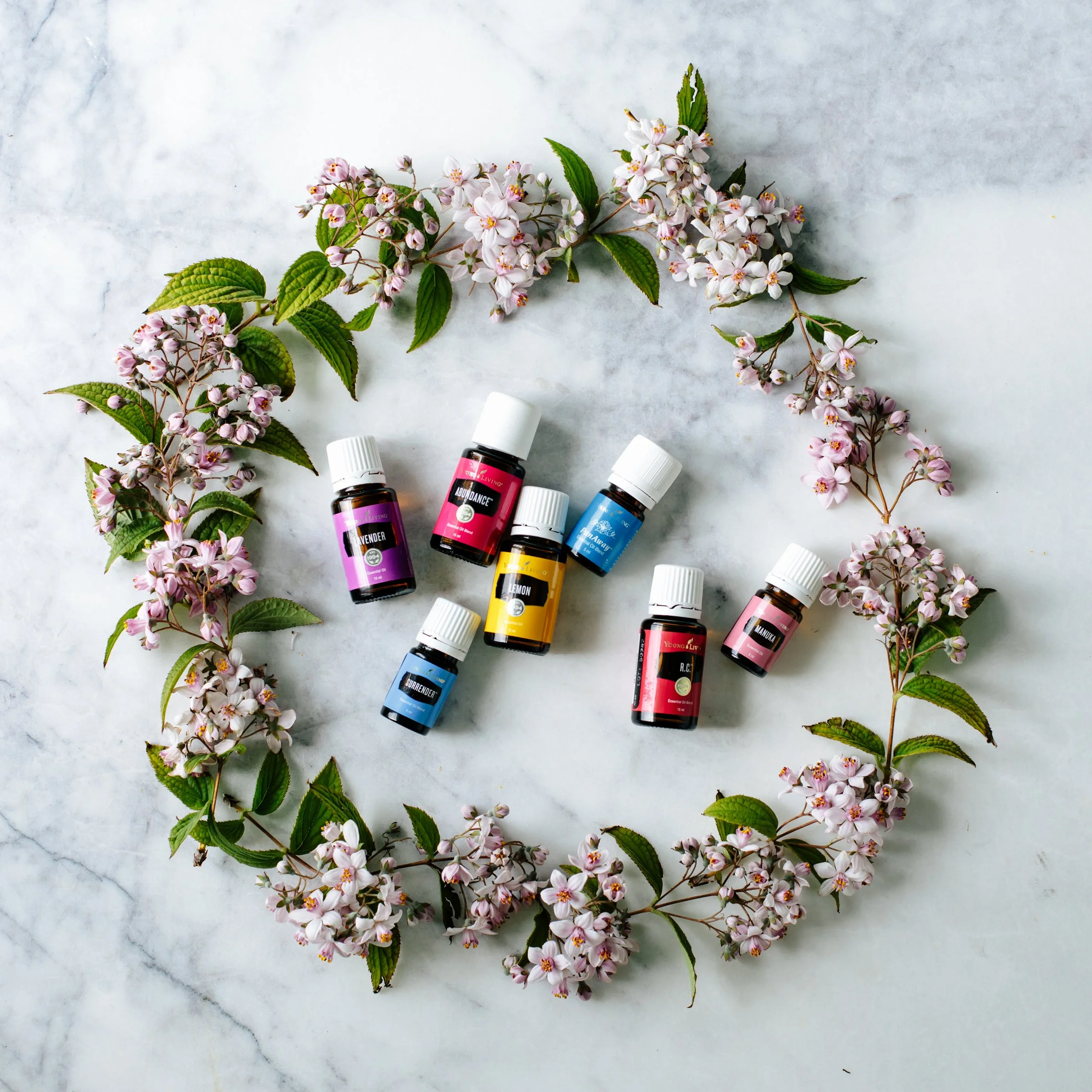 February - Introductory Oils 101 / Low Tox Workshop
