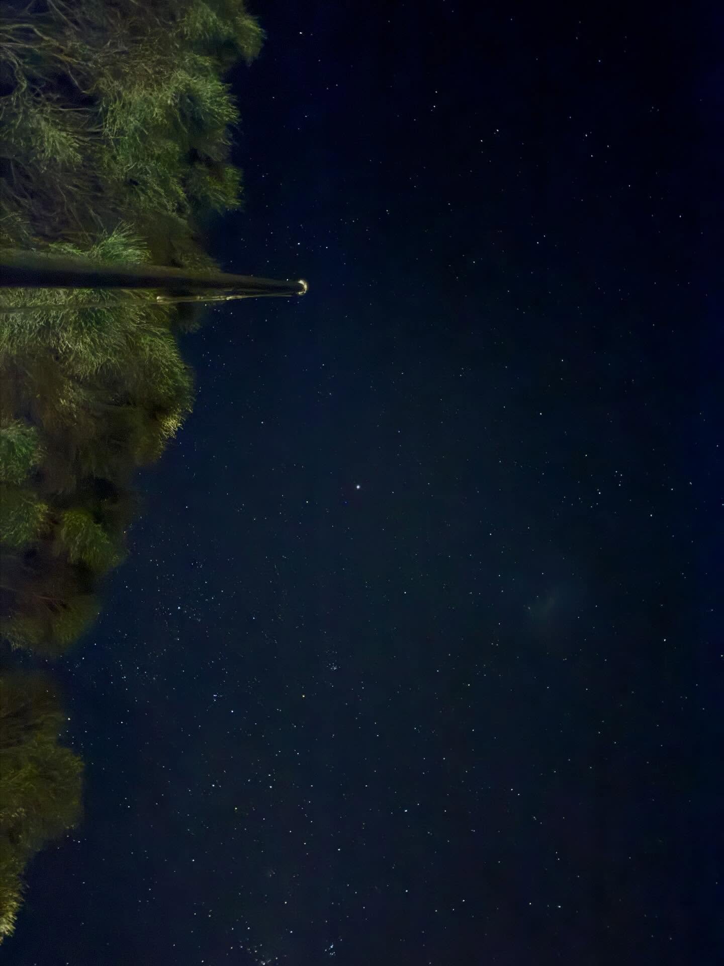 Thousands of galaxies in a patch of sky no bigger than a grain of sand held at arm&rsquo;s length. That&rsquo;s what the James Webb Telescope sees. ✨

It&rsquo;s too big to comprehend but I do feel deep awe and a wonderful insignificance at the thoug