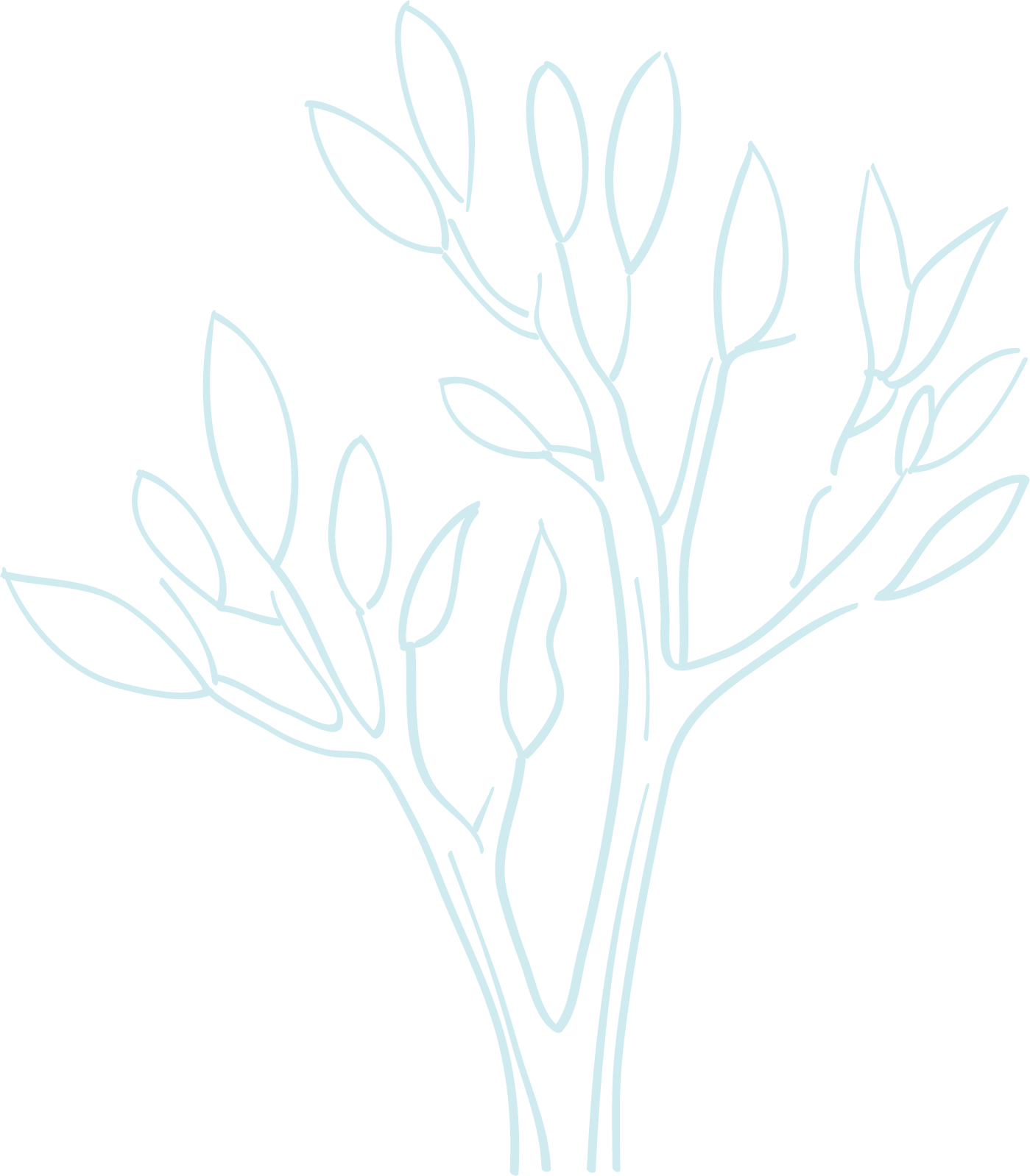 Minimalist line drawing of a tree with branches and leaves.