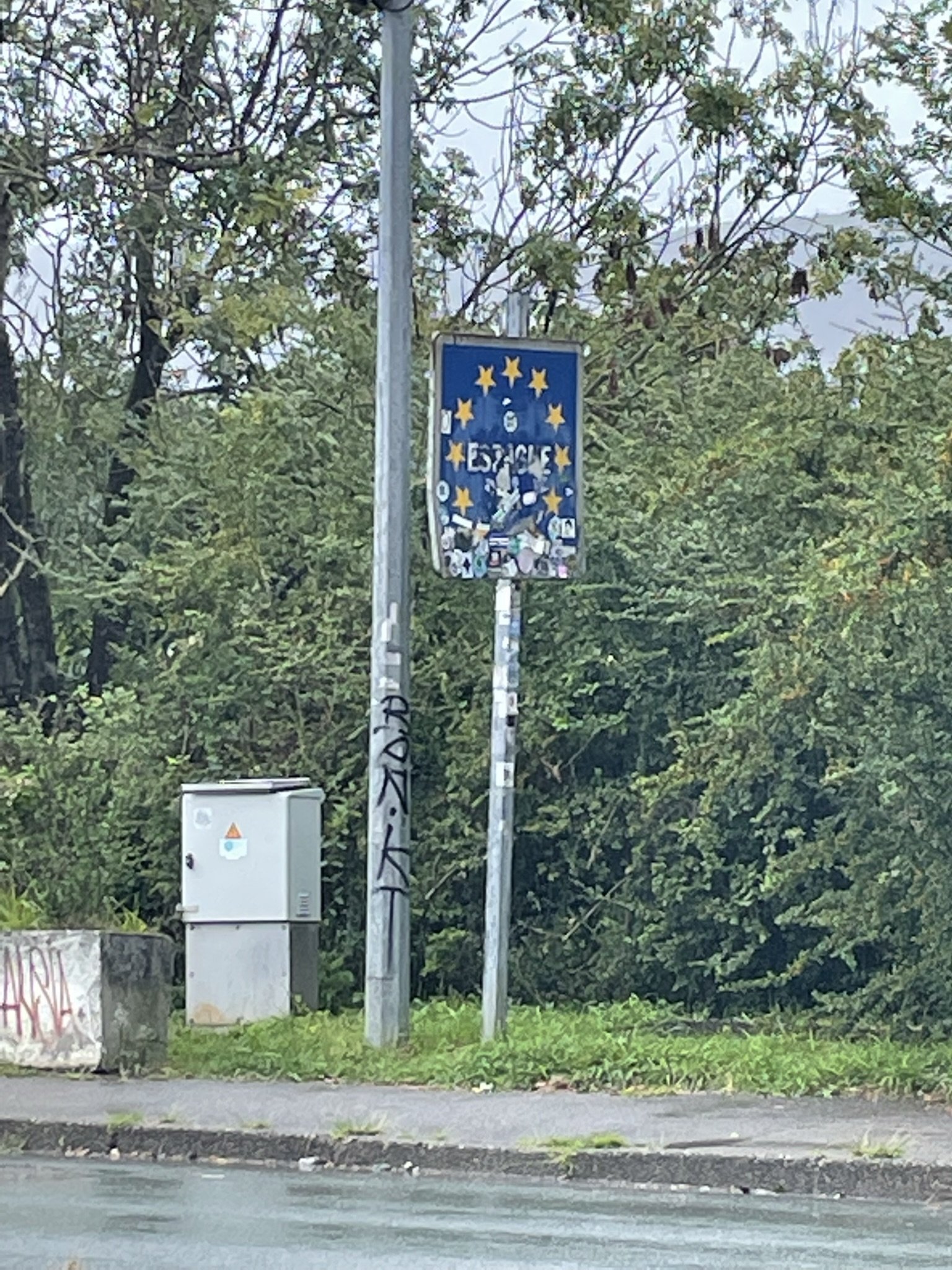 IMG_4207.JPEG